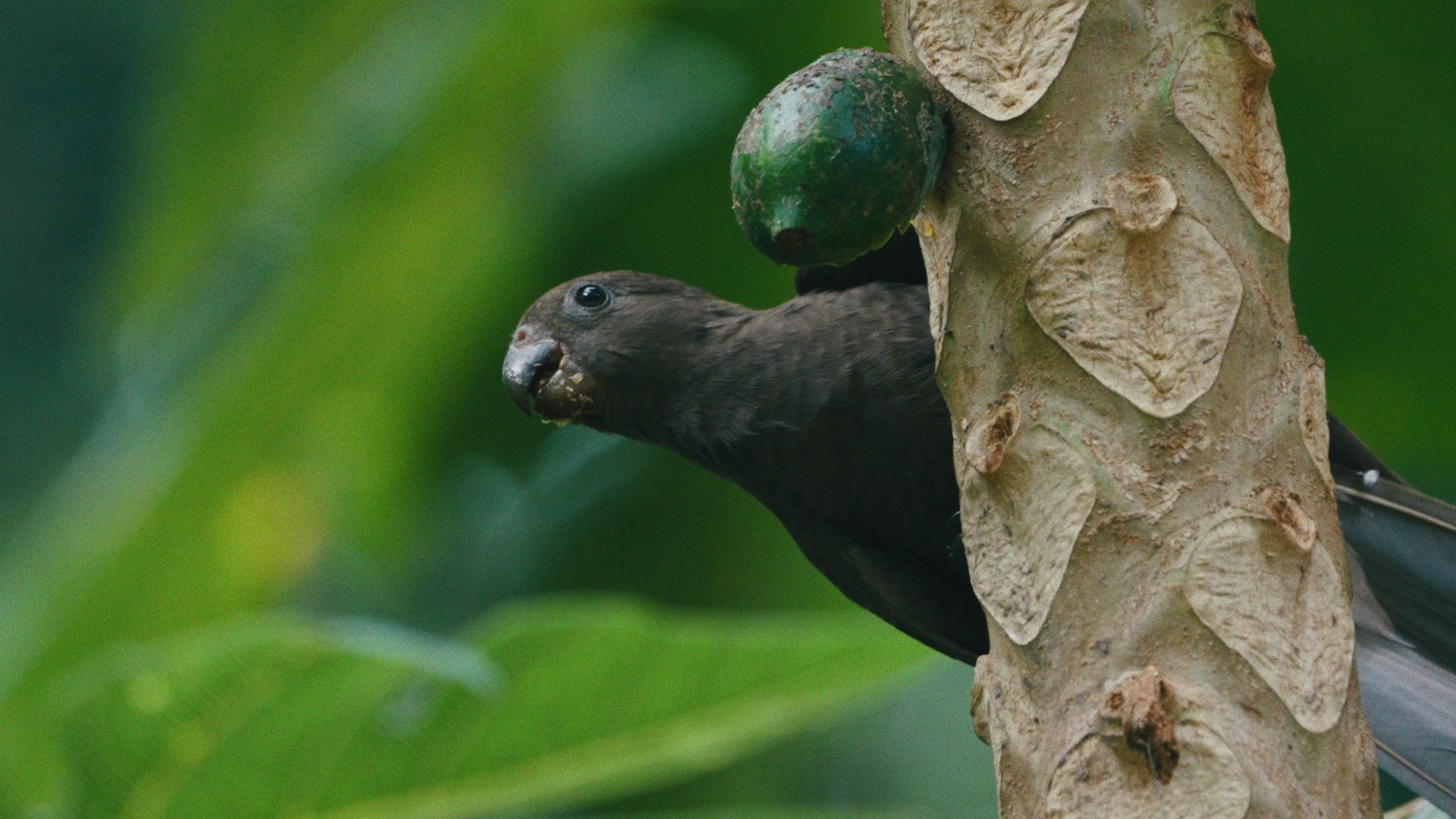 Still 2025-04-02 150512_2.63.1.png