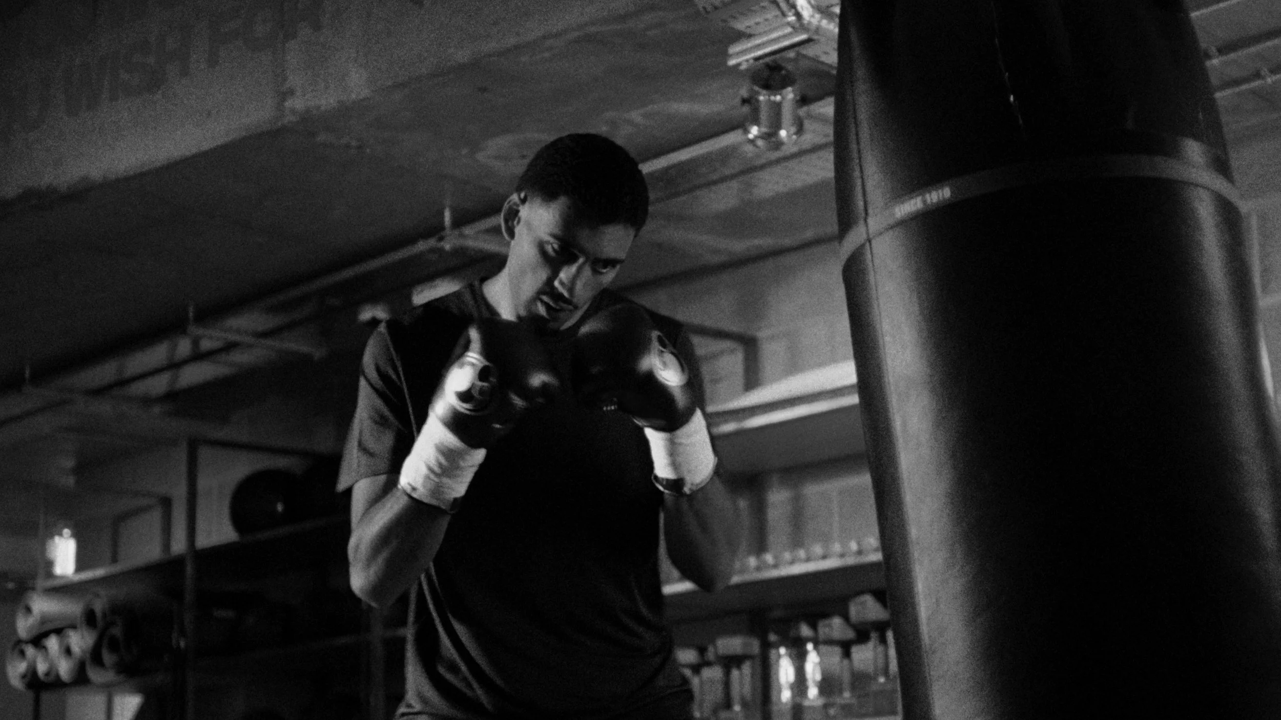 Still 2024-09-20 012053_1.4.1.jpg