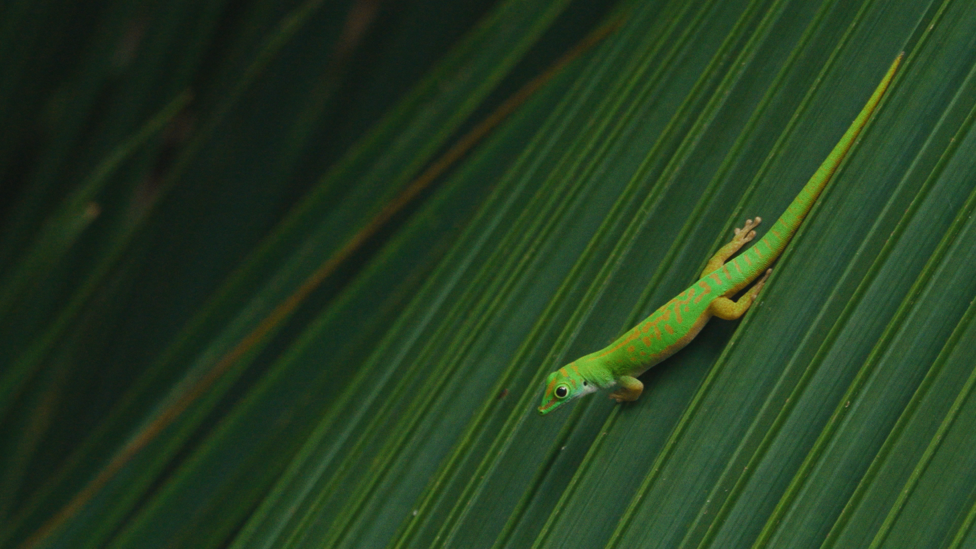 Still 2025-04-02 150512_2.50.1.png