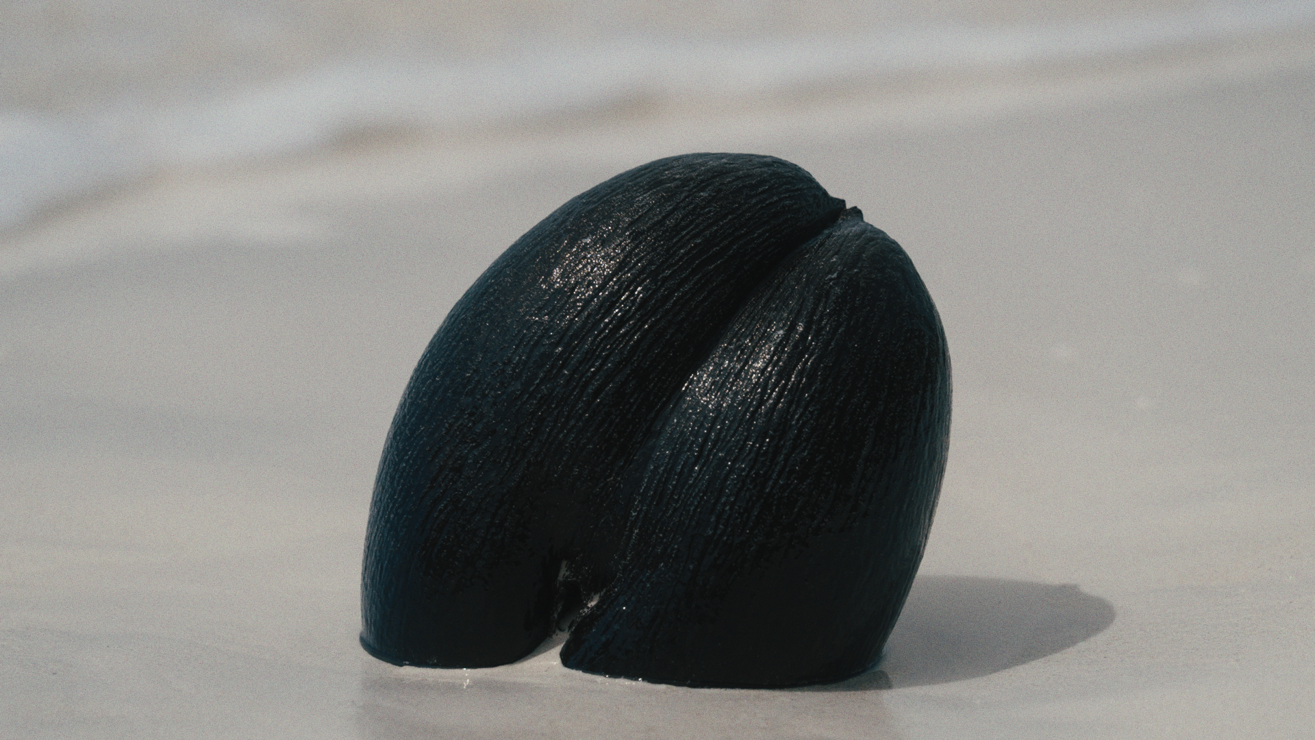 Still 2025-04-02 150512_2.11.1.png