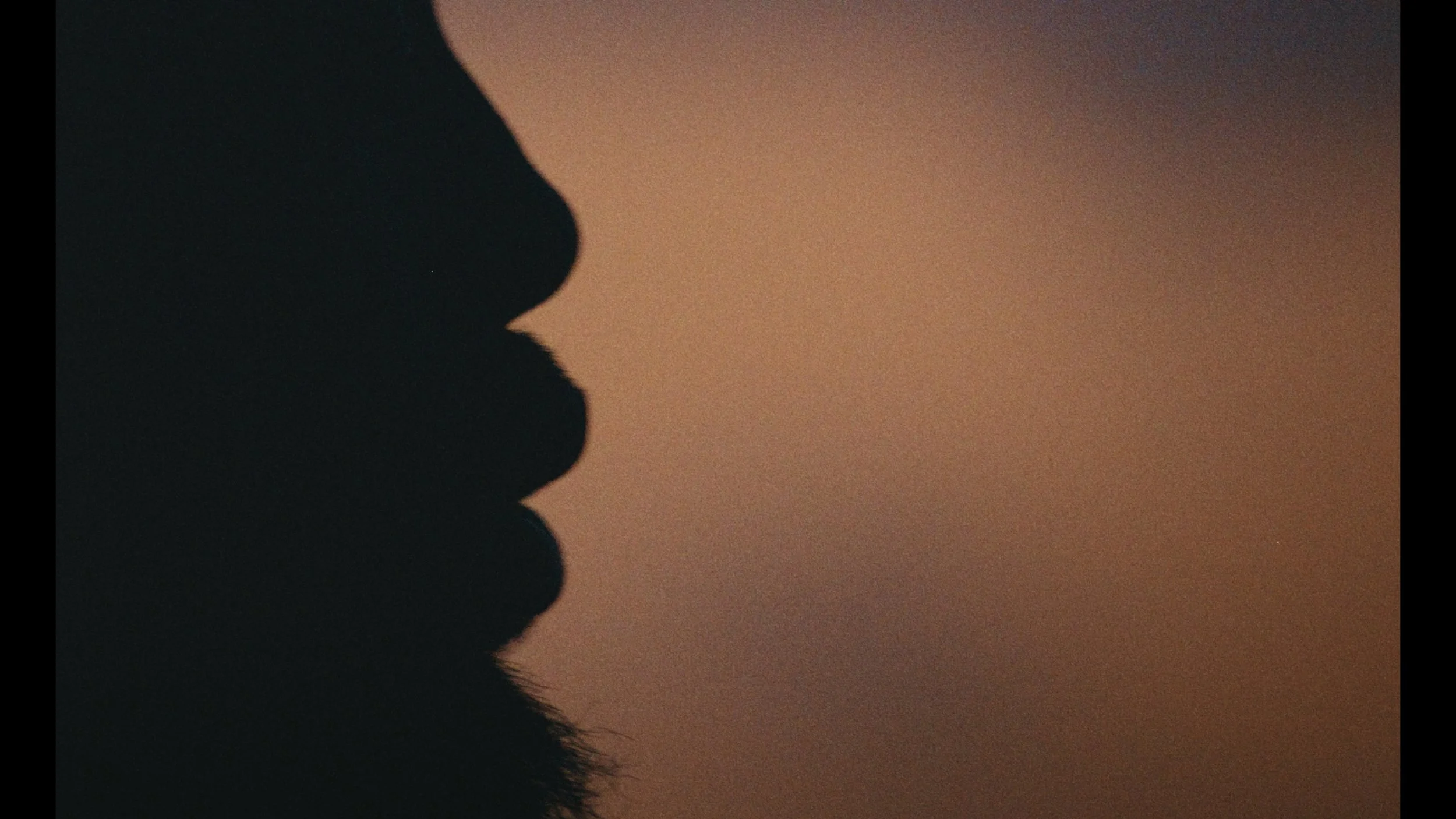 Still 2026-01-05 182838_4.1.11.jpg