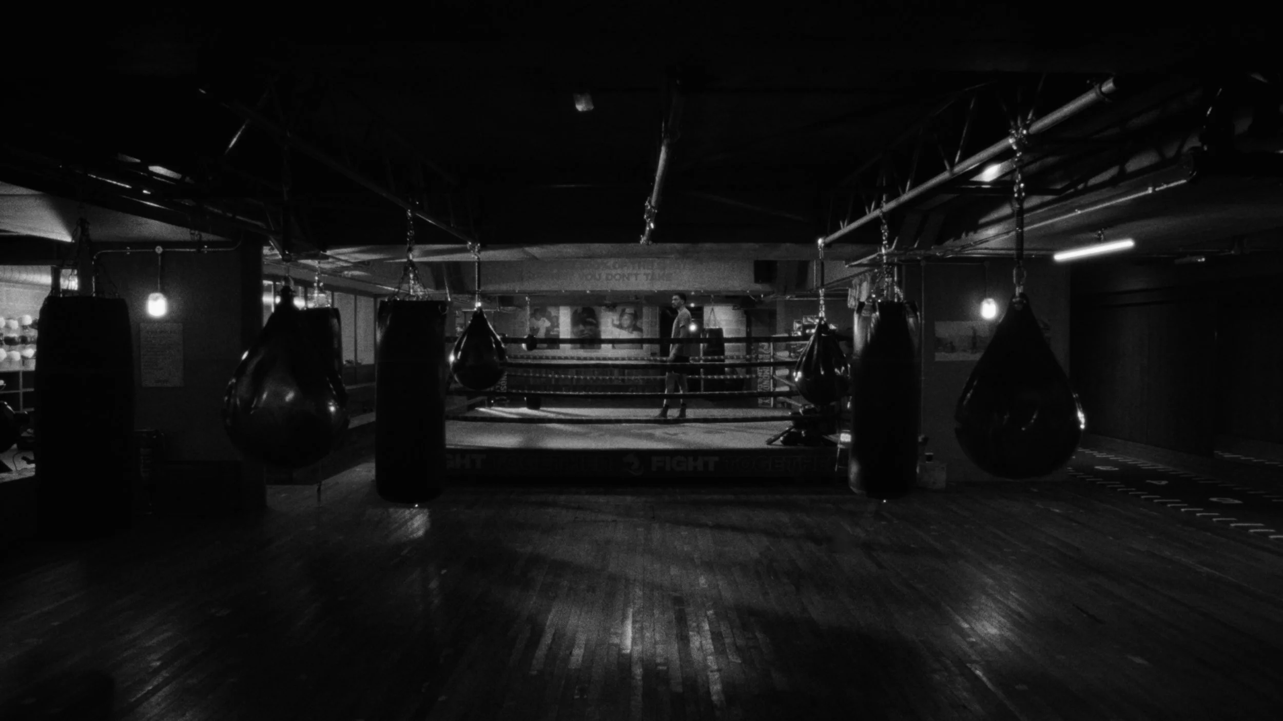 Still 2024-09-20 012053_1.1.1.jpg