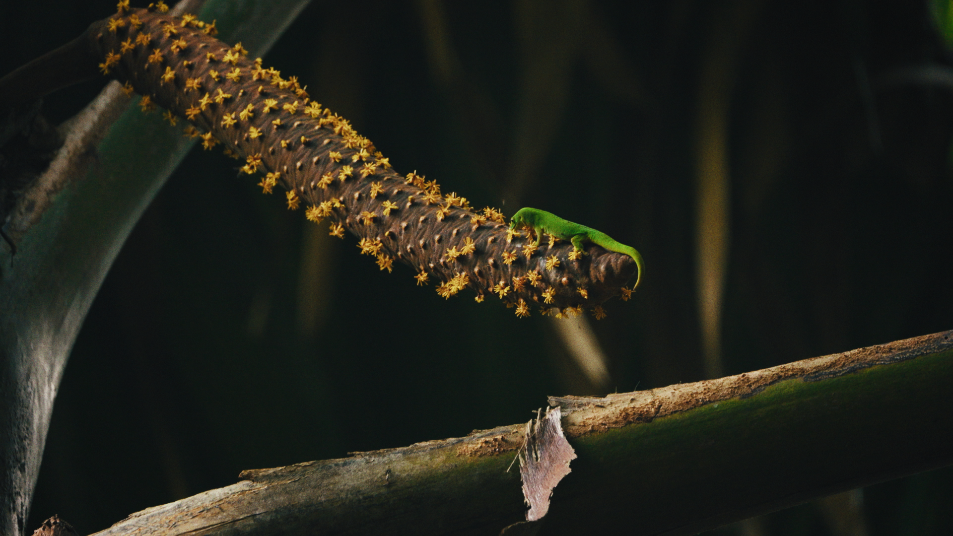 Still 2025-04-02 150512_2.54.1.png