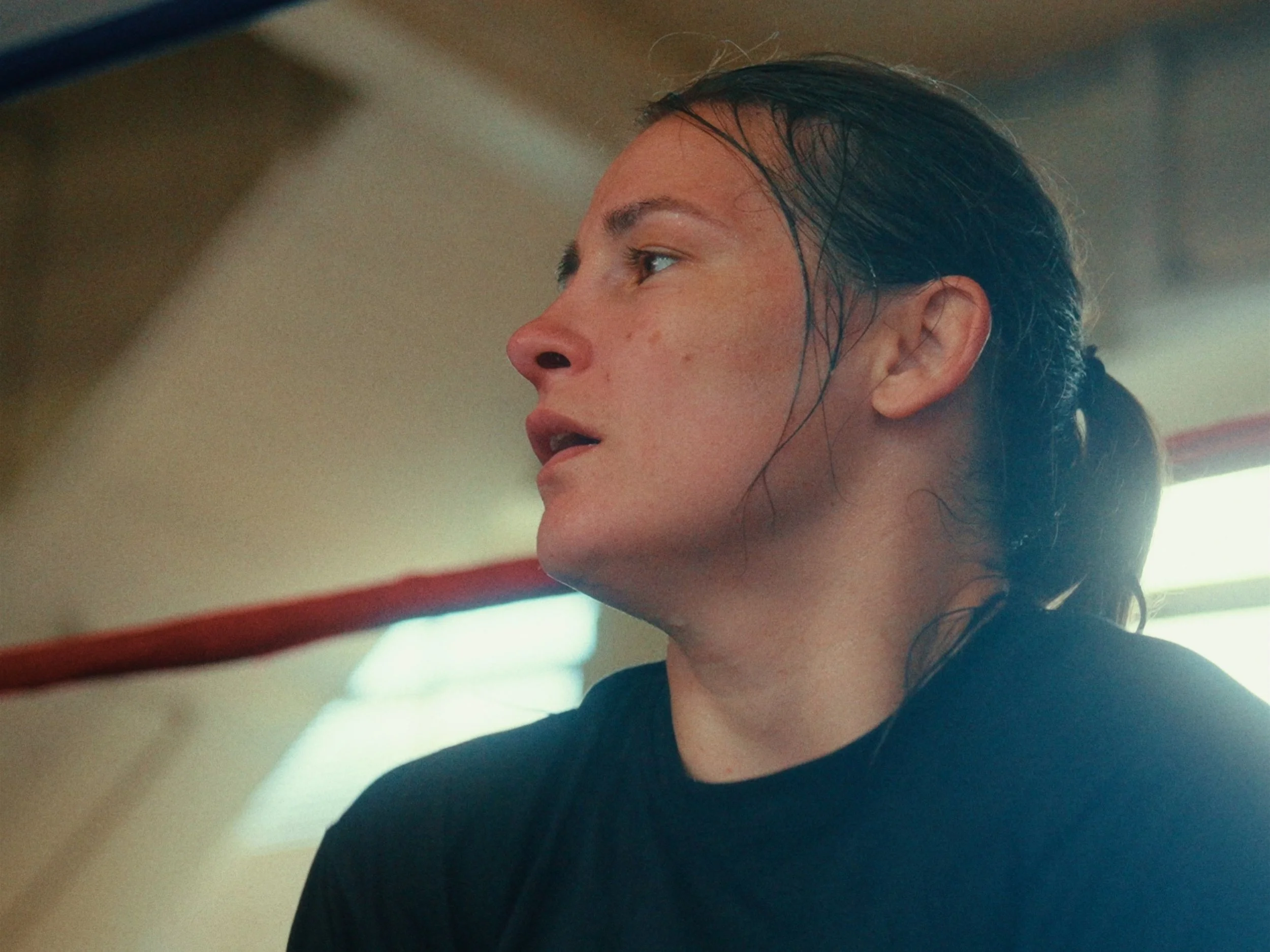 Still 2024-11-12 133532_1.17.0.jpg