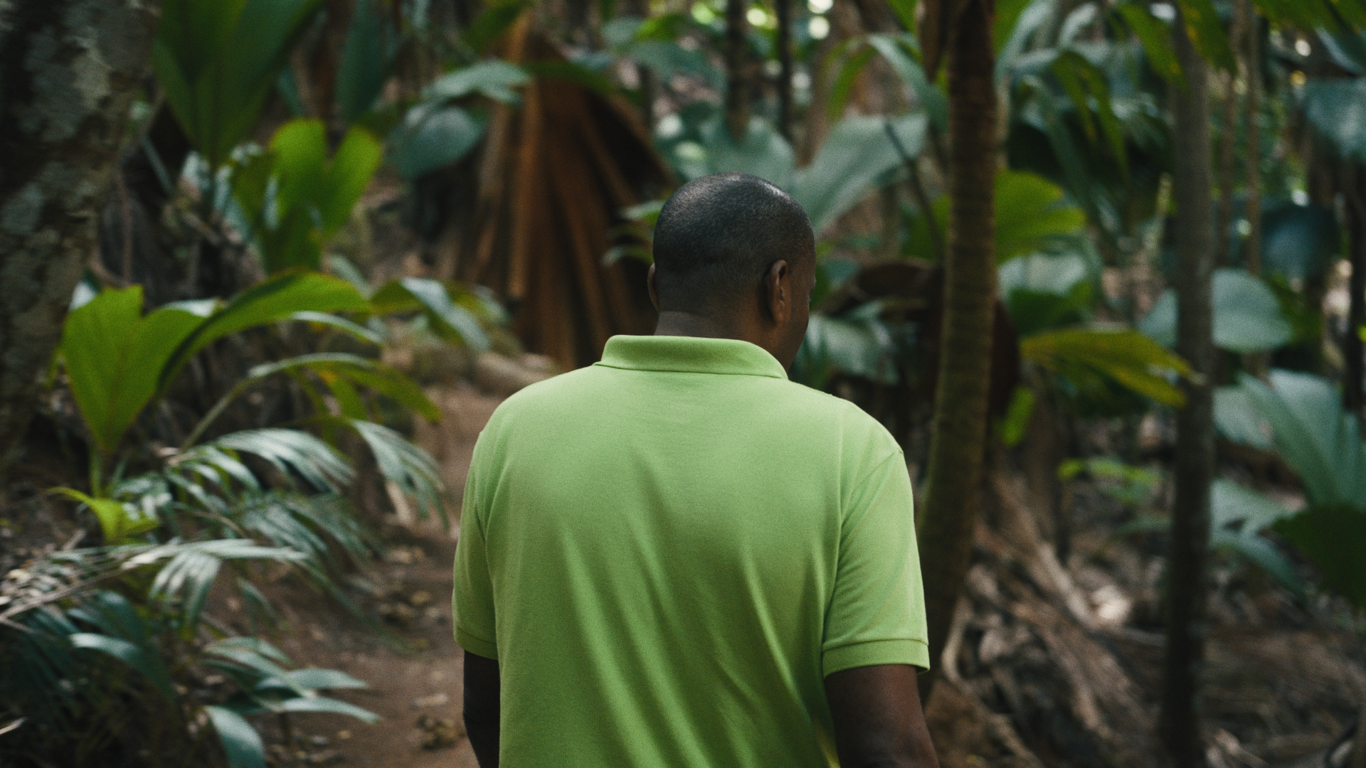 Still 2025-04-02 150512_2.164.1.png