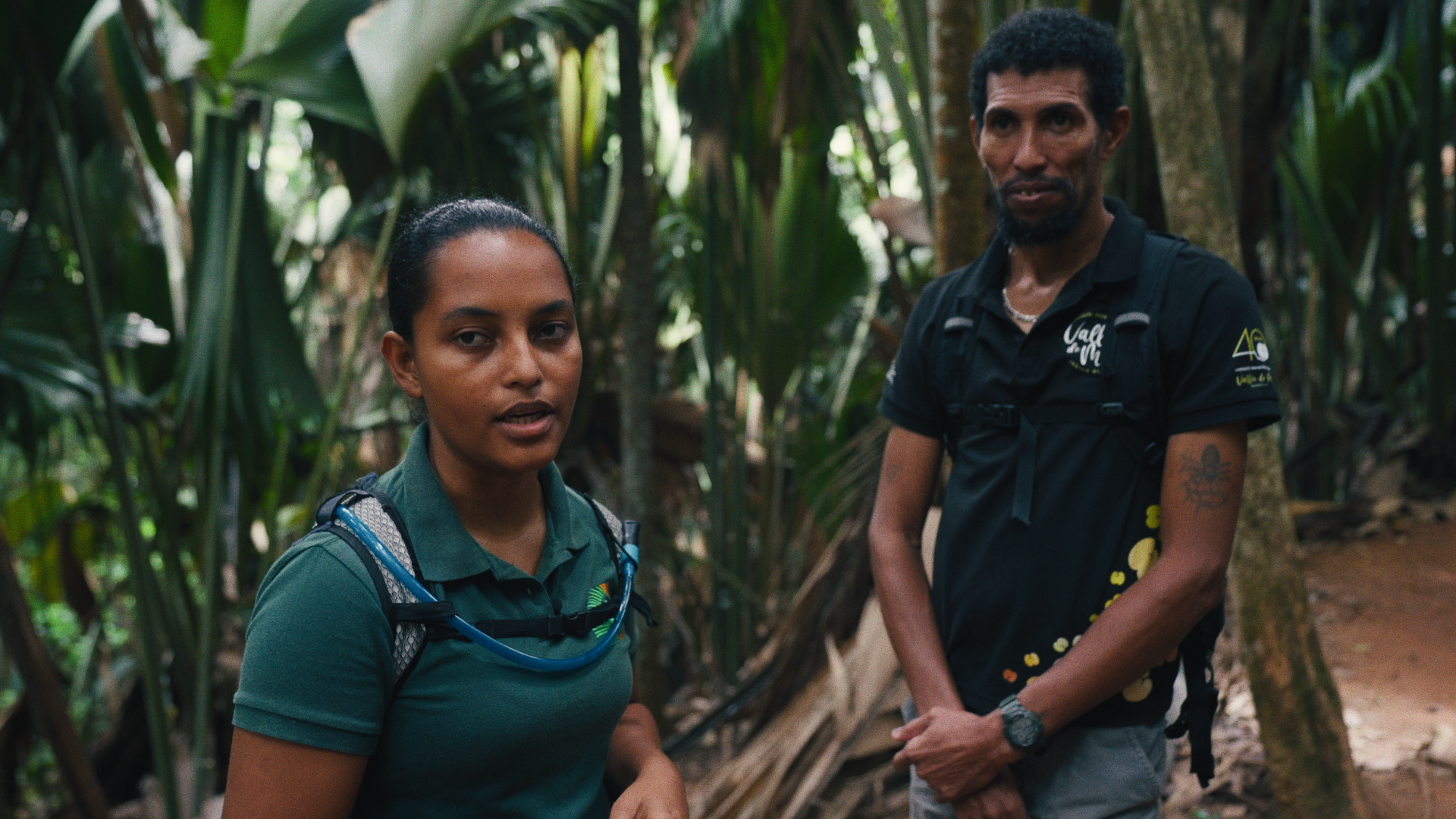 Still 2025-04-02 150512_2.35.1.png