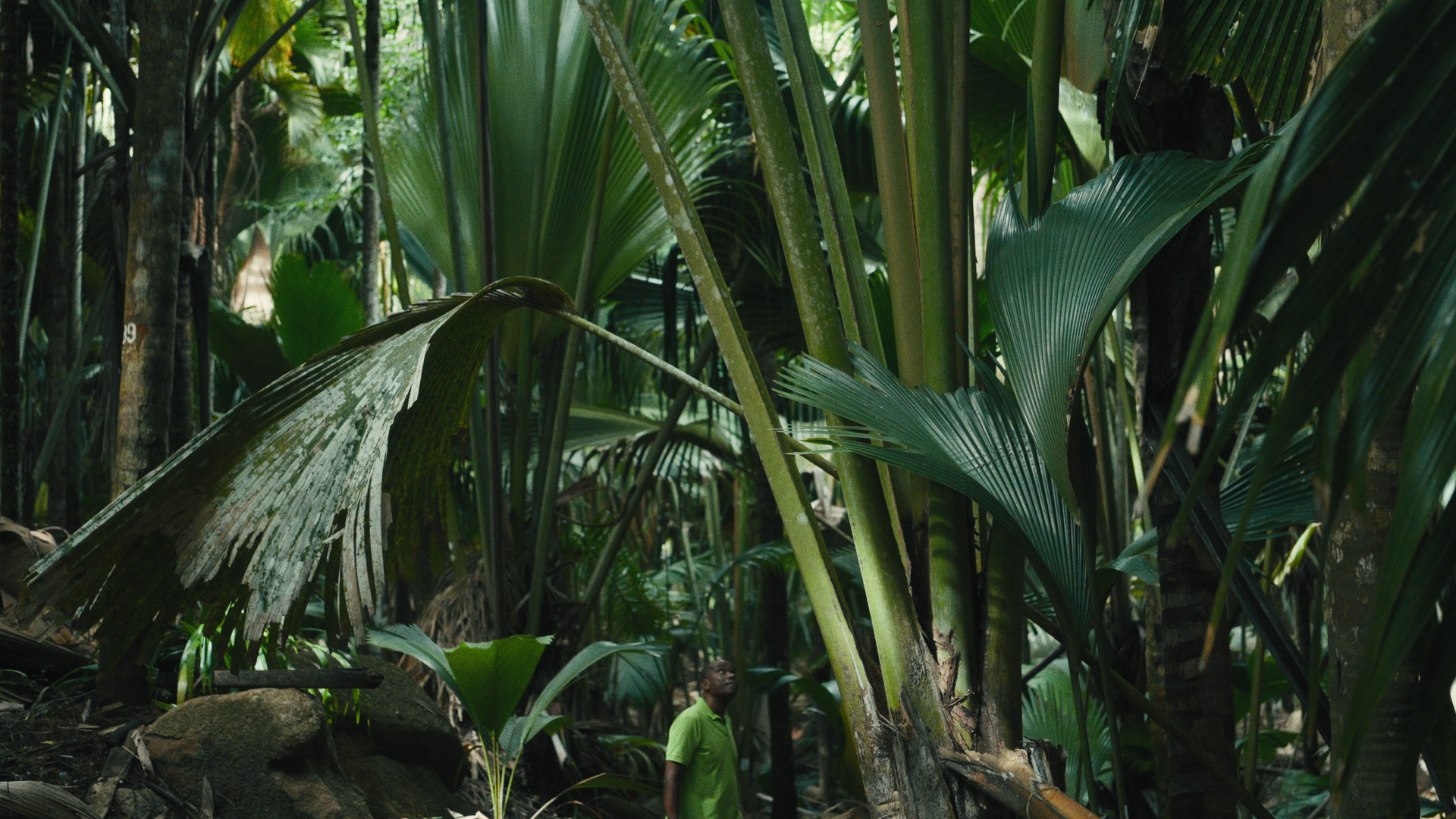 Still 2025-04-02 150512_2.181.1.png