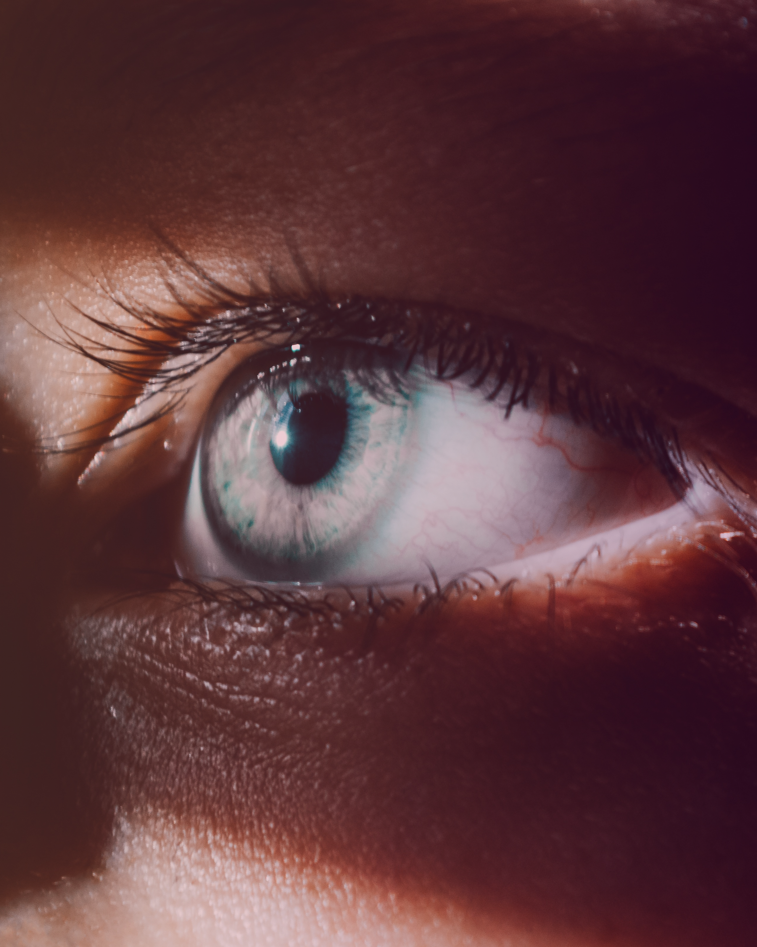 Pattern Fuels Perception