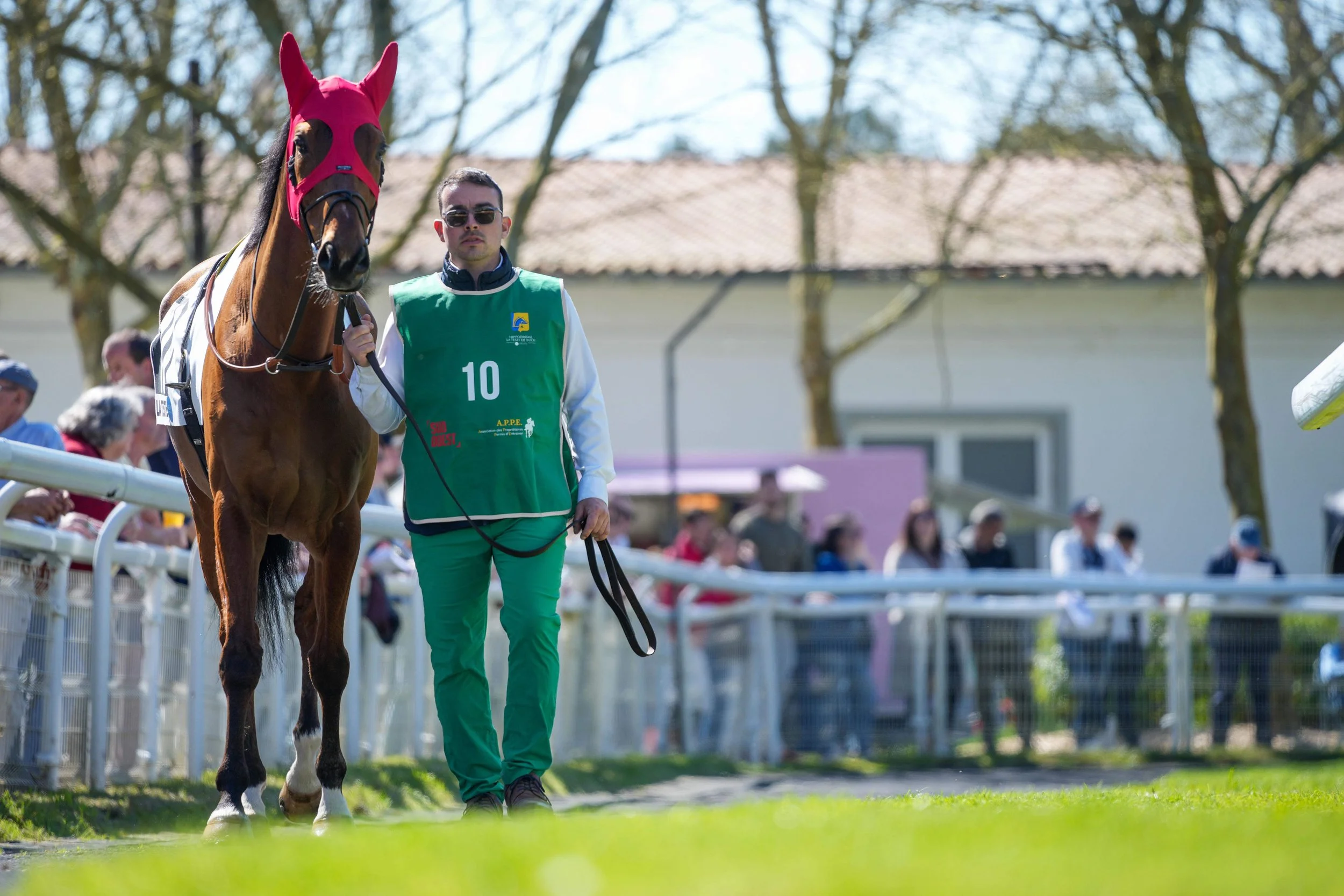 Ventes de Yearlings - OSARUS