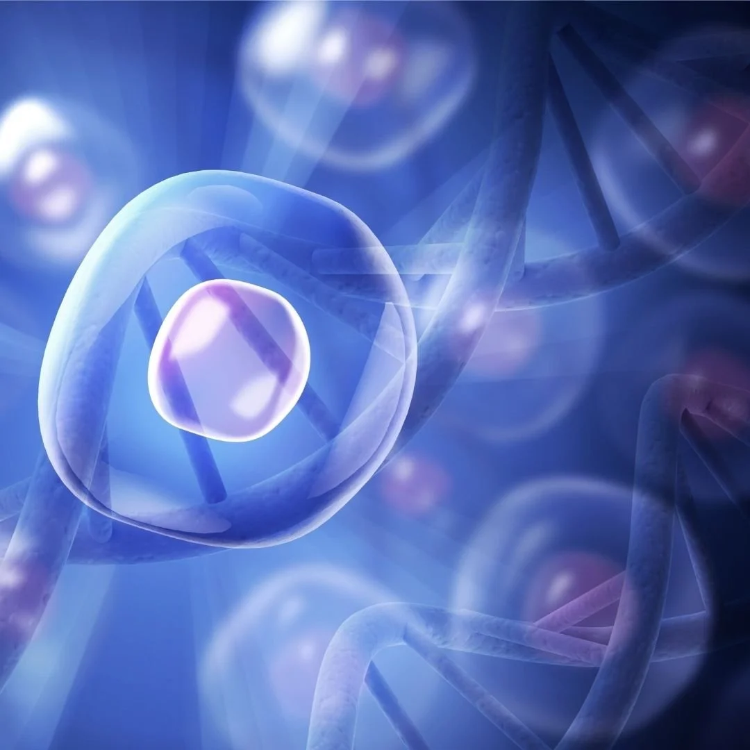 Water, Breath, and Your Body: