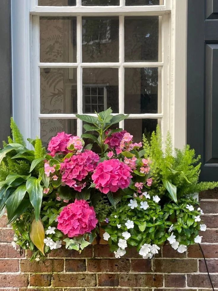 A window box filled with pink hydrangeas, white impatiens, green ferns, and purple flowers, mounted on a brick wall outside a house.
