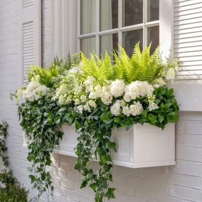 A white window box filled with white hydrangeas, roses, green ferns, and ivy, mounted on a white brick house exterior.