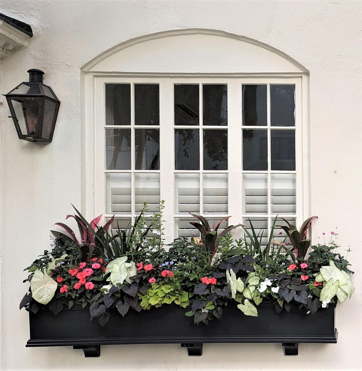 A window with white shutters and an arched top, mounted on a white wall. To the left of the window, there is a black outdoor lantern light. Below the window, there is a black flower box filled with pink, red, and white flowers along with dark and light green foliage.