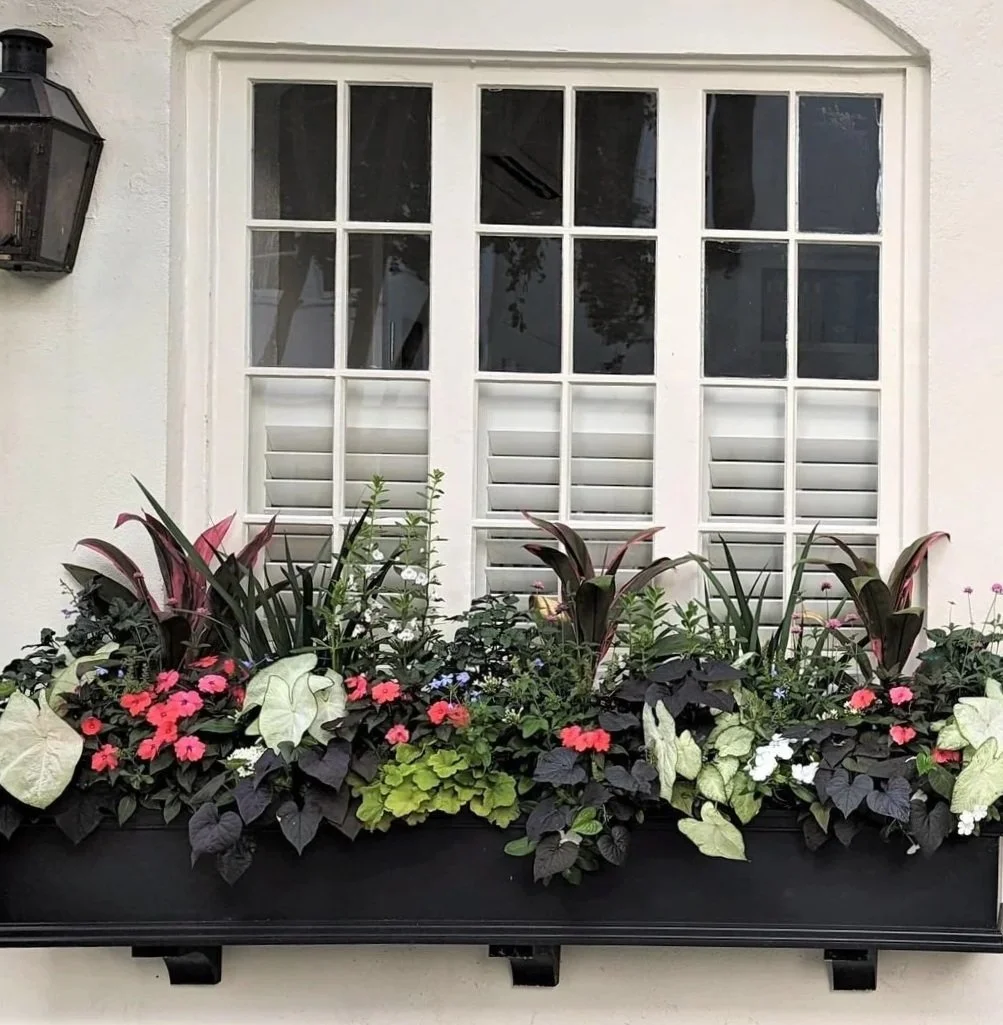 A window with white frame and blinds, next to a wall-mounted black lantern, with a flower box containing various colorful plants and flowers below.