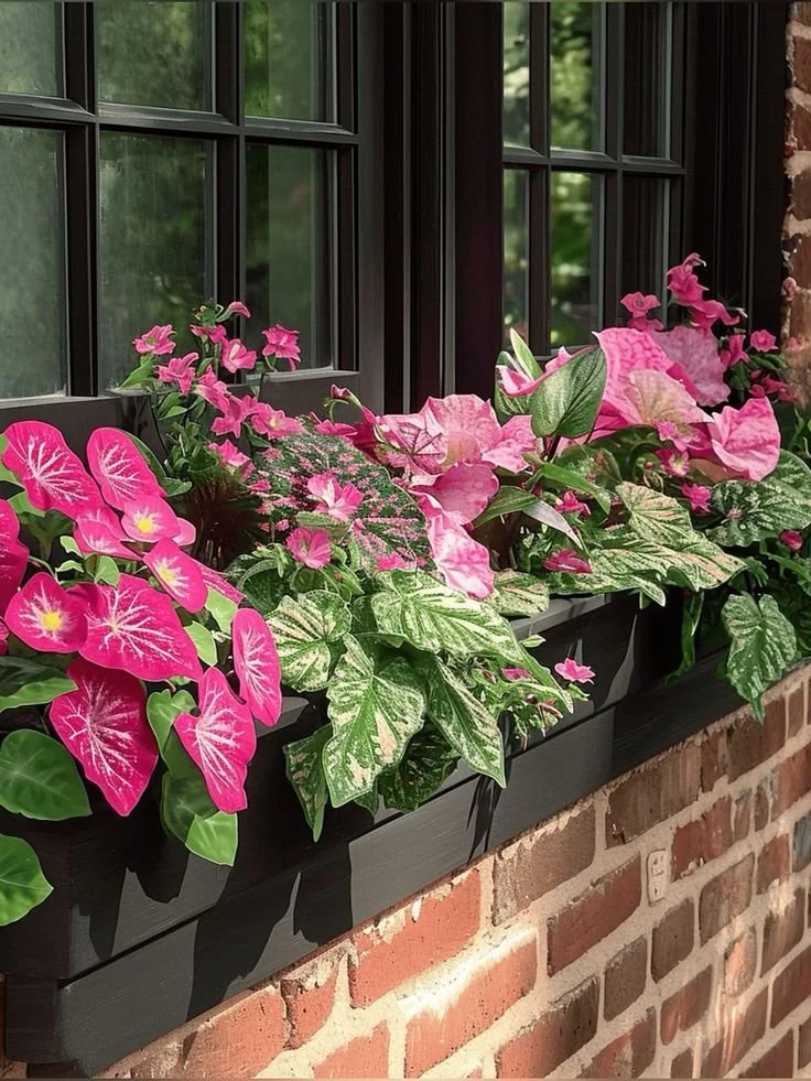 Window box with pink and variegated green plants and flowers on a brick wall