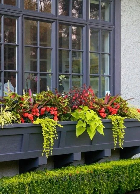 Window box filled with colorful red, pink, and green plants on a house exterior.