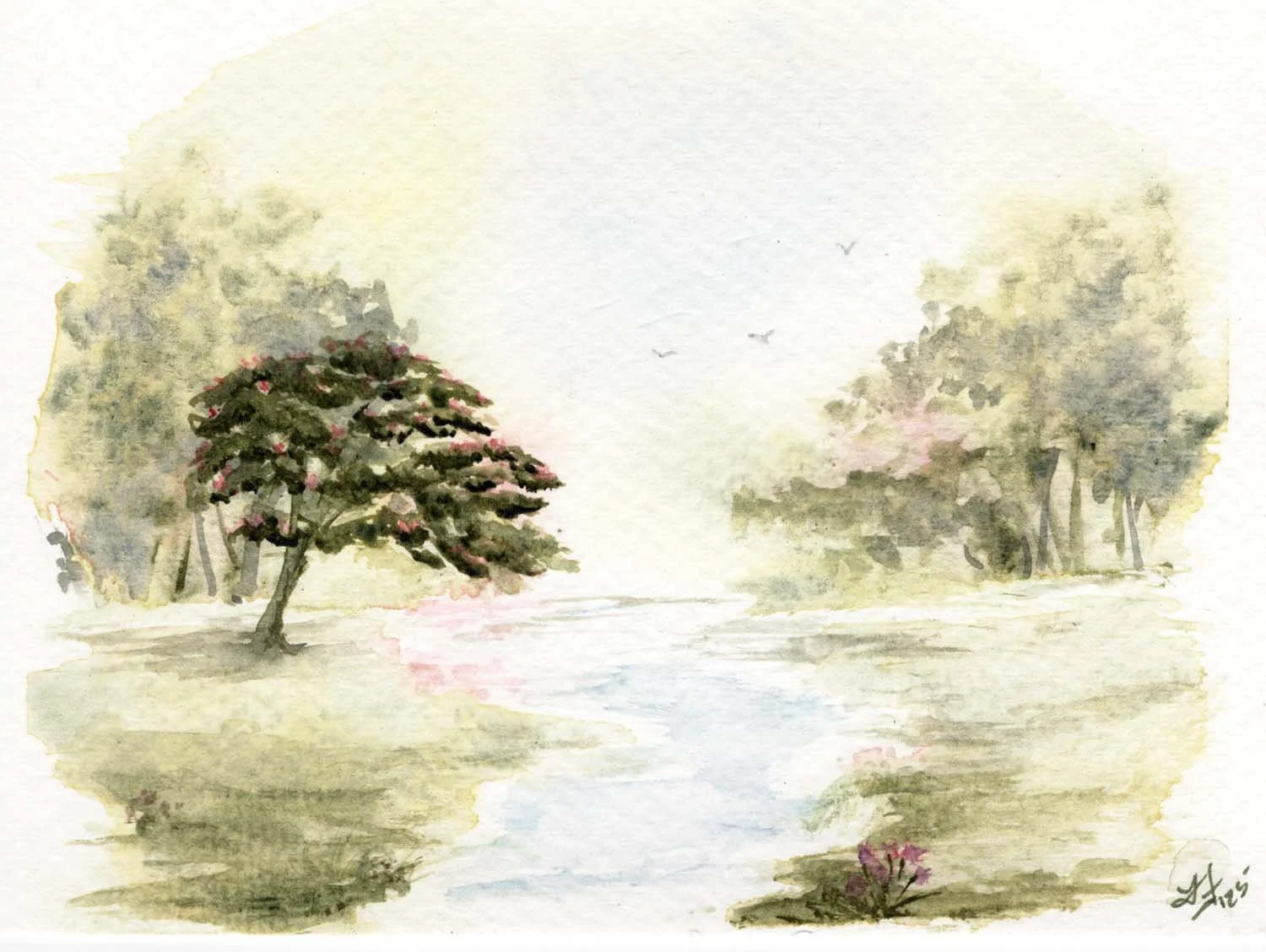 Mimosa Memories - 5x7
