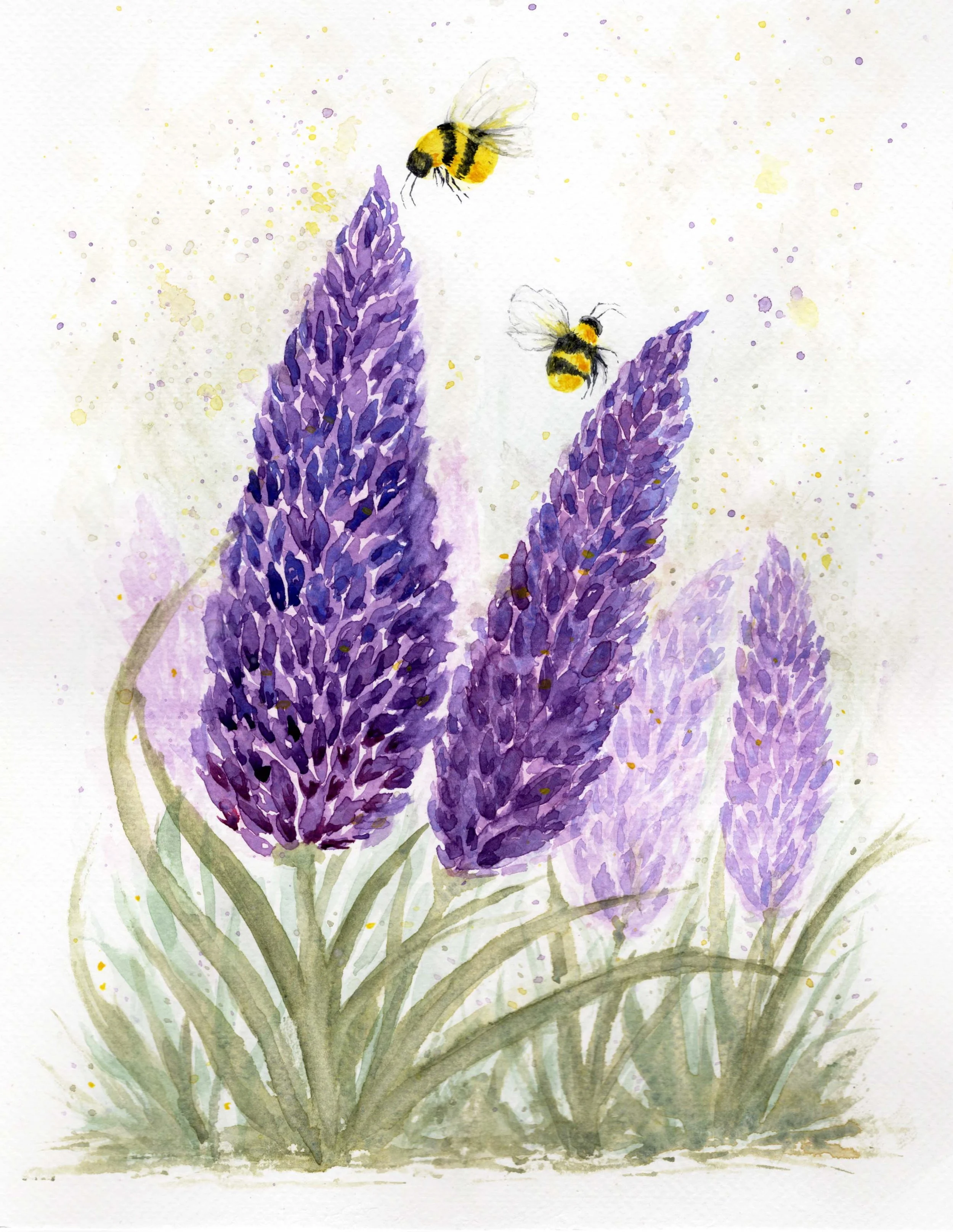 Lavender Morning - 9x12