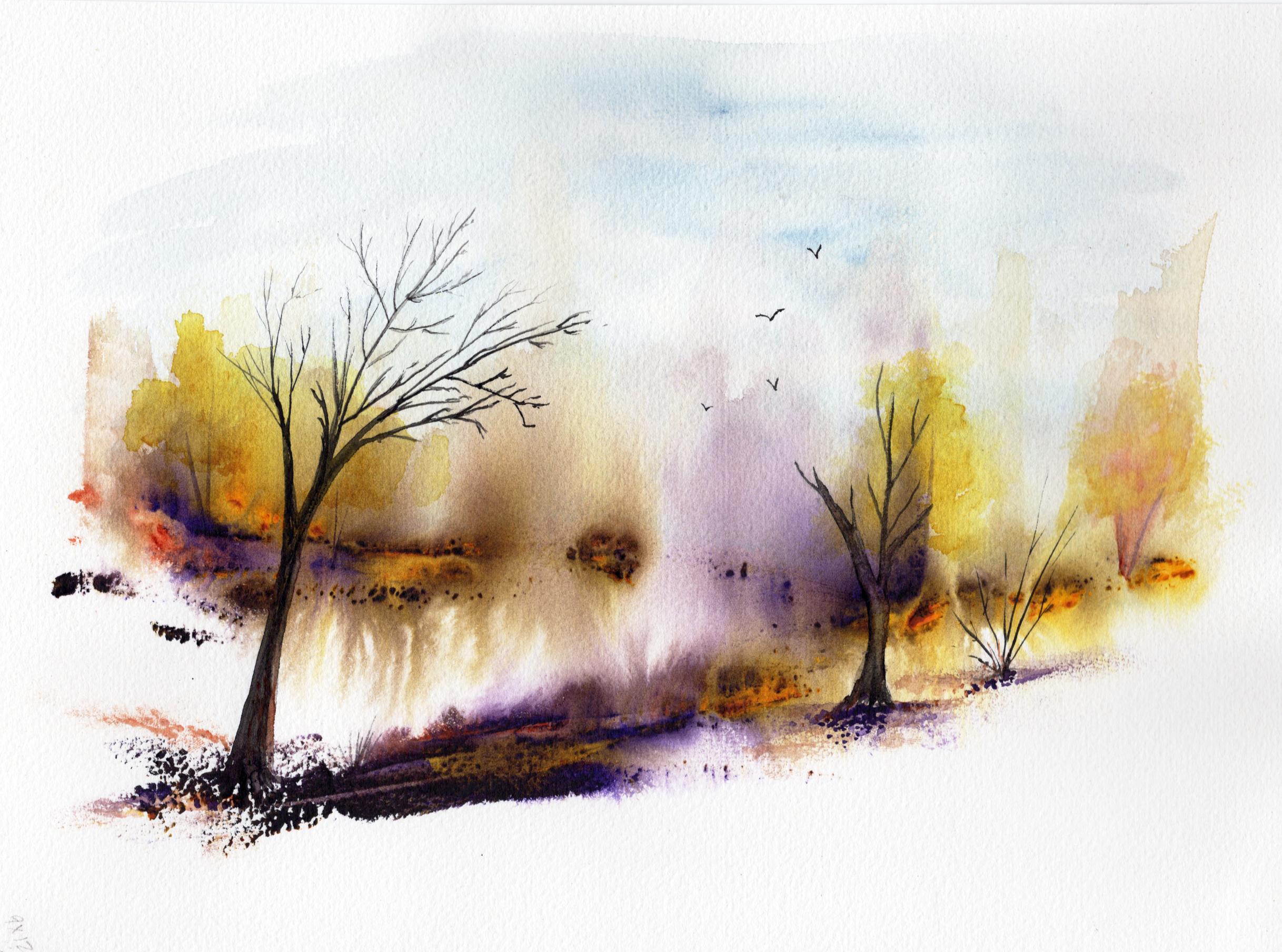 Autumn Splendor - 8x10 