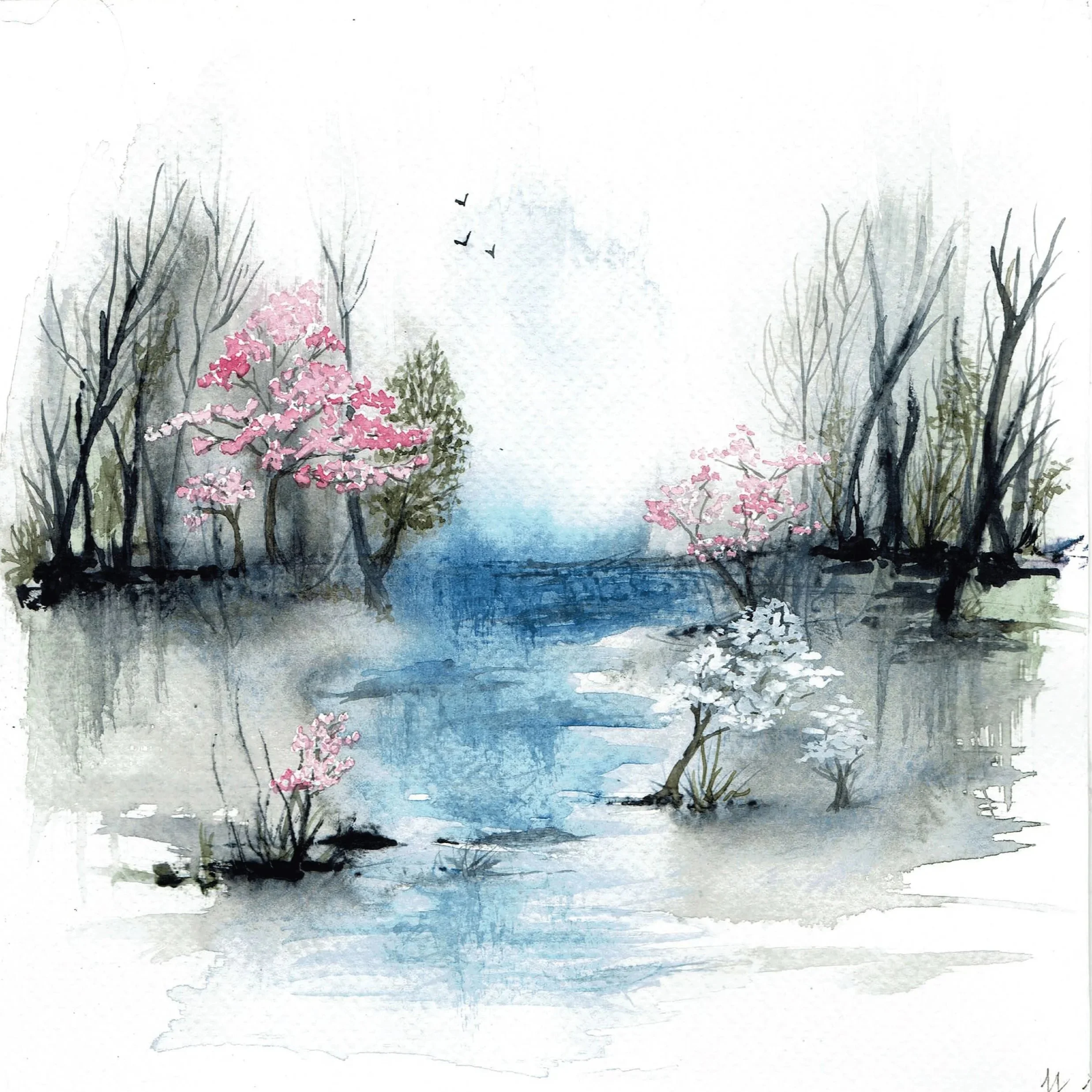 Landscapes