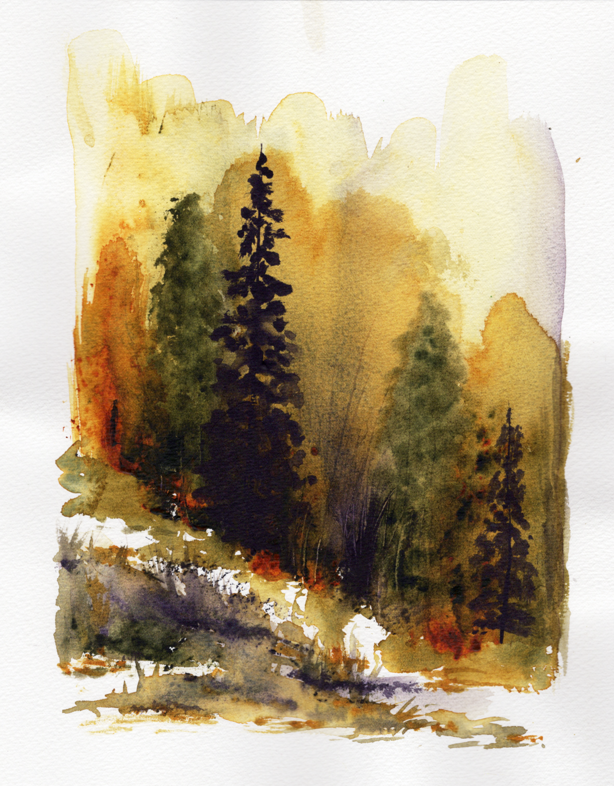 Fall Colors - 8x10