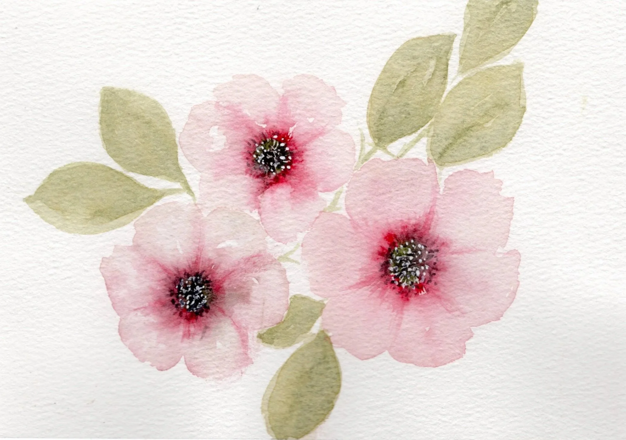Florals and More