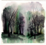 Hushed Canopy - 6"x4"