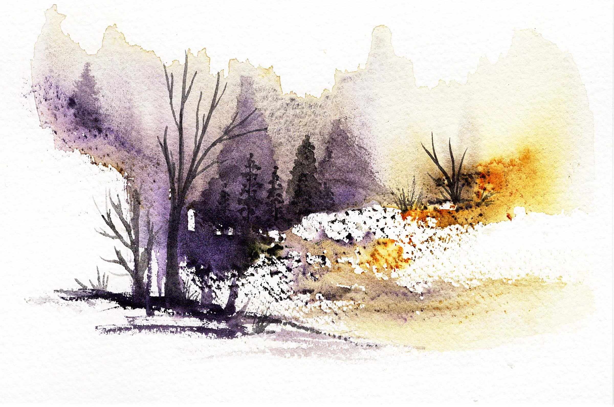 Golden Hour - prints available