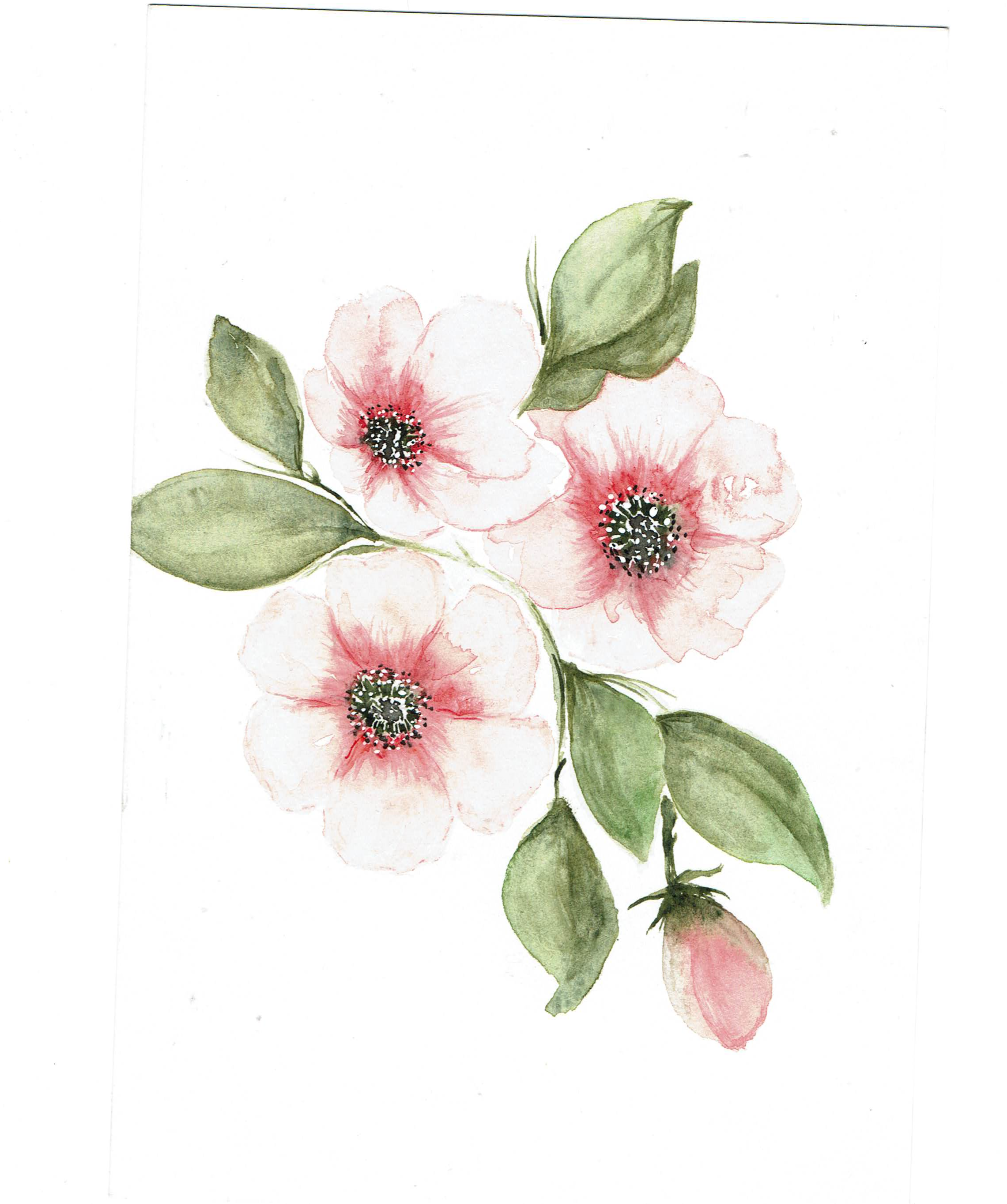 Gentle Blooms - 5"x7"
