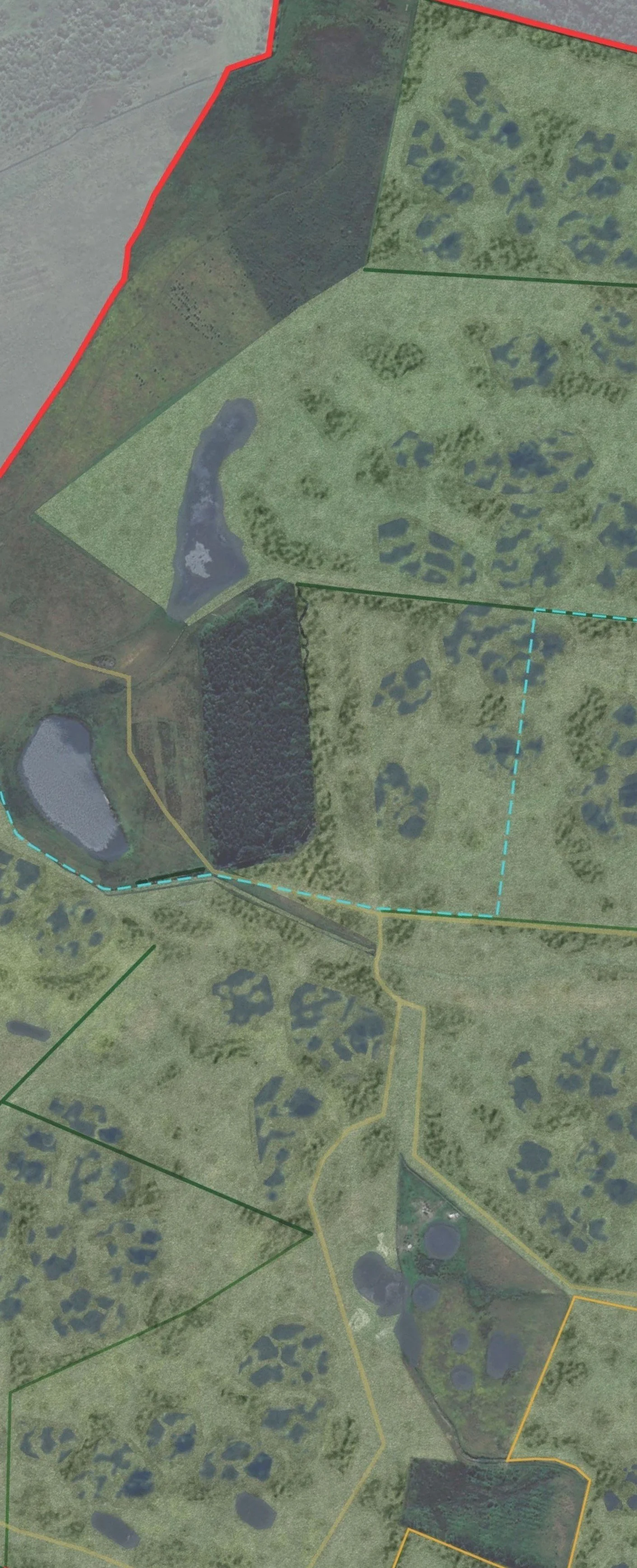 S- Whole Site transect.jpg
