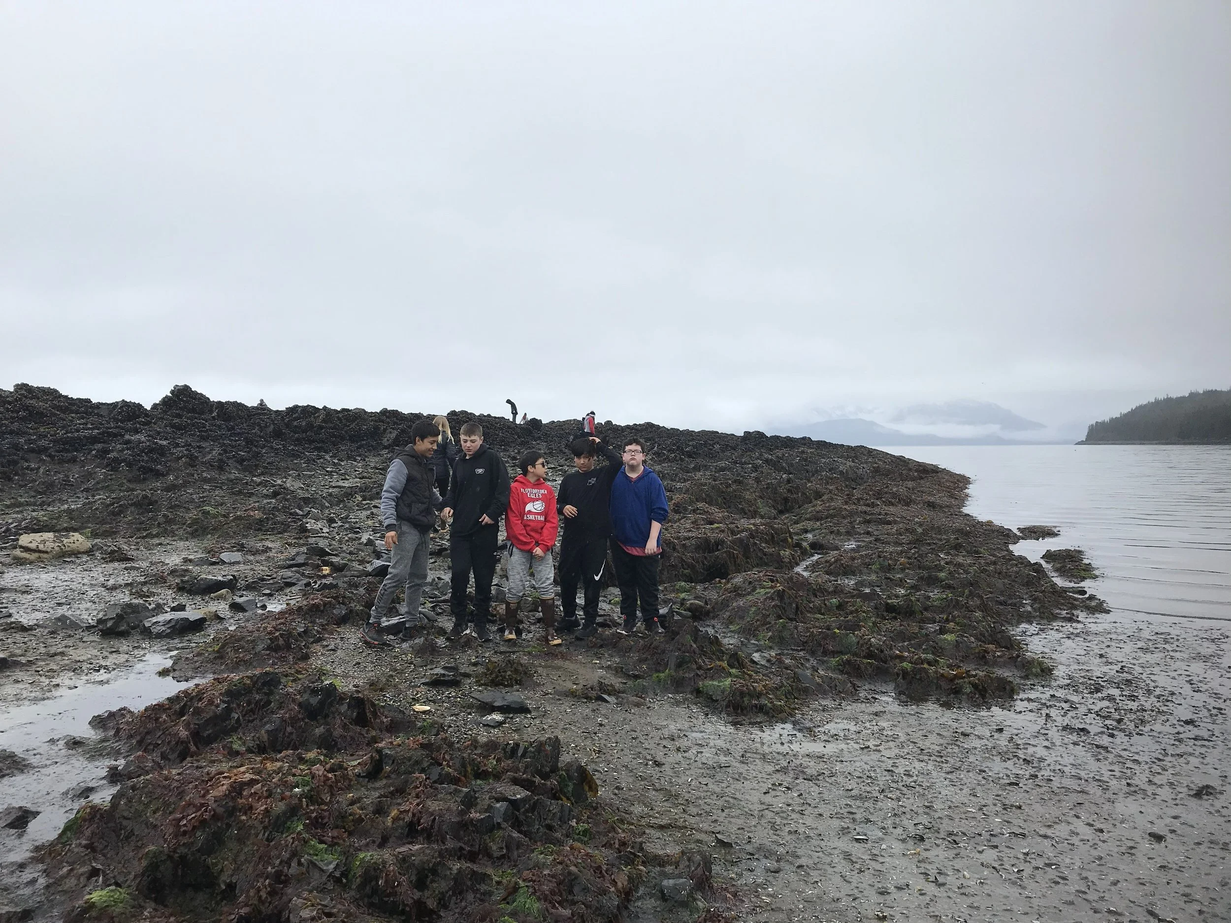 Tide pooling in Juneau AK.  Amazing, education and so cool.