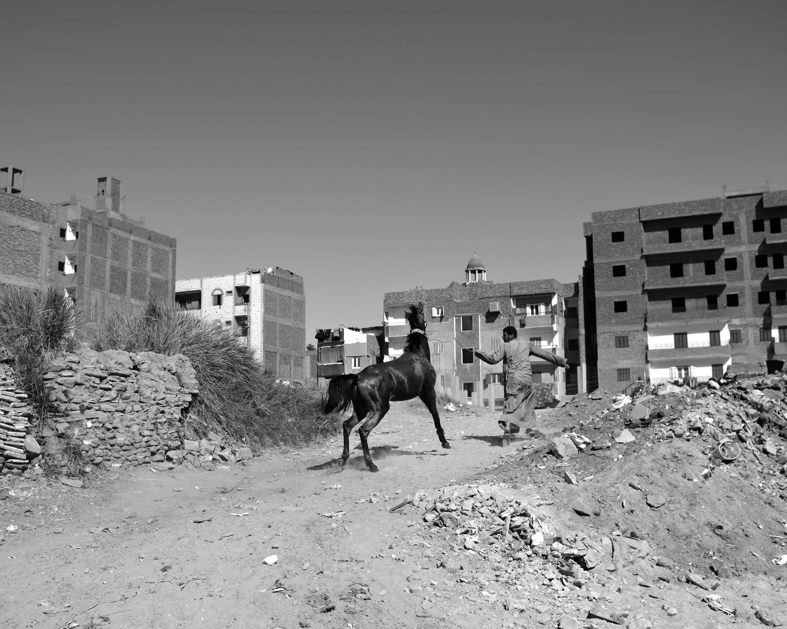 On the banks of the Nile for BBVA Foundation