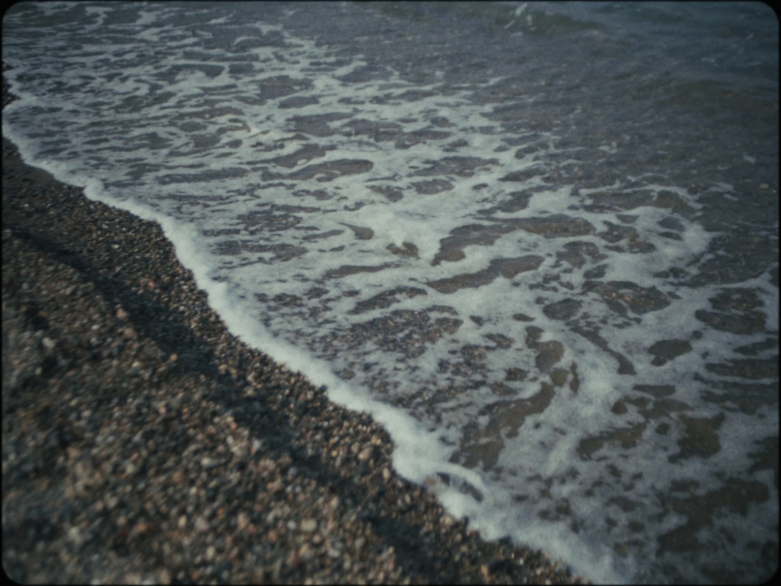 Still 2026-03-01 150337_1.6.1.jpg