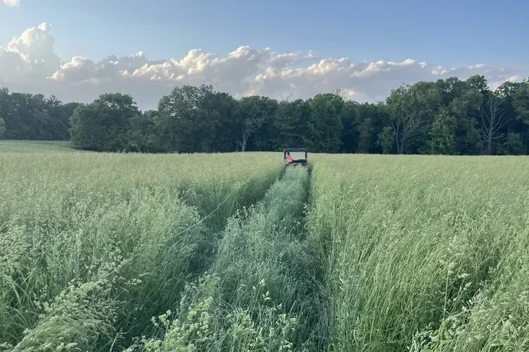 Grazing School: Iuka, IL
