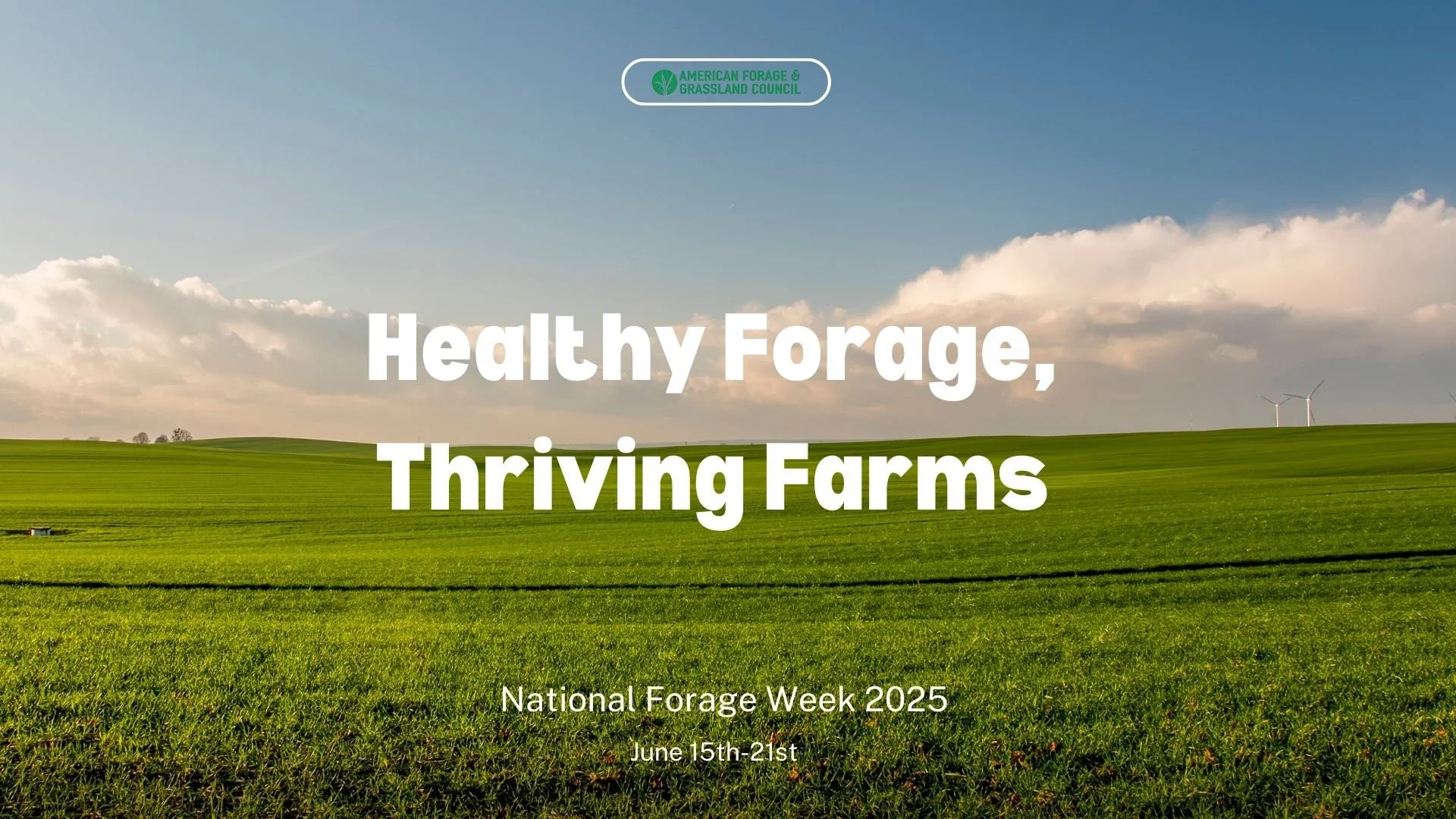 Forage field. National Forage Week