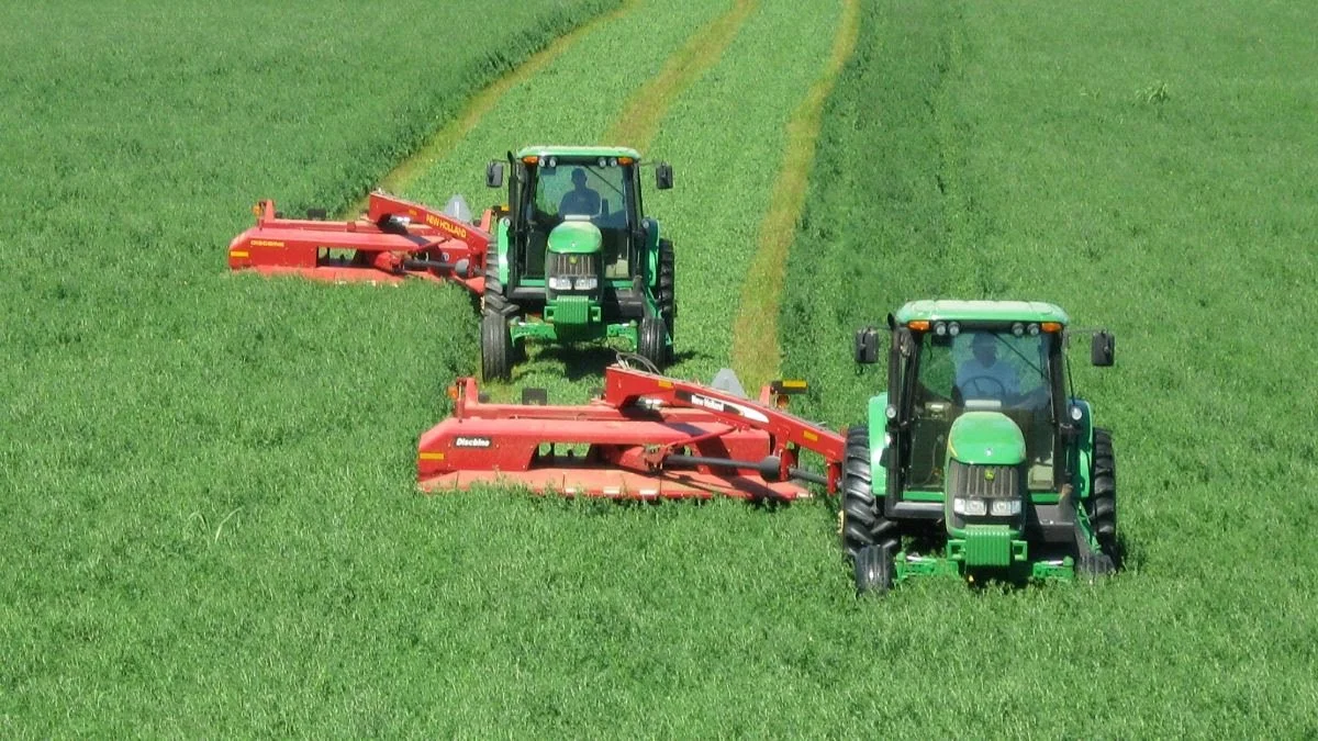 Grow and Graze: Producing High-Value Forage Webinar