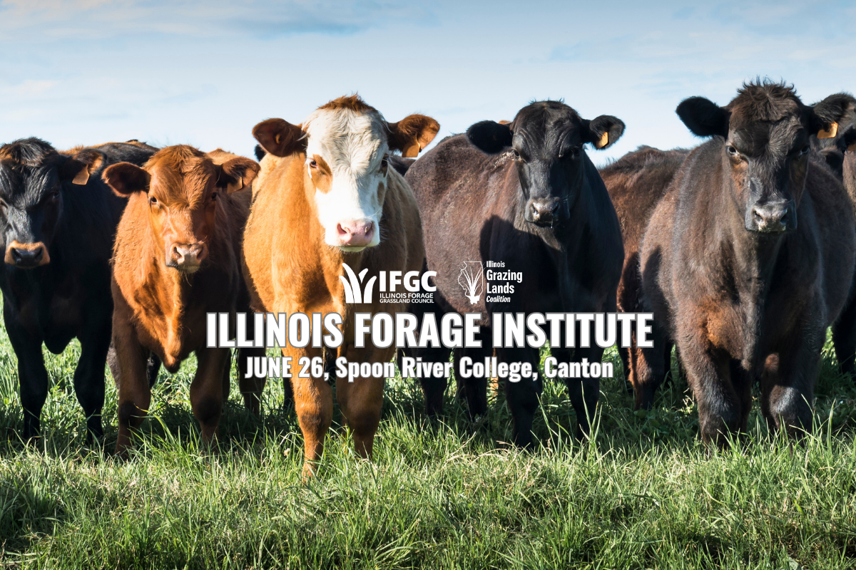 2026 Forage Institute
