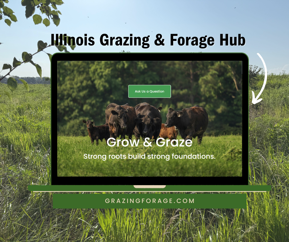 Image of a pasture background with a computer screen featuring a cattle grazing website called The Hub