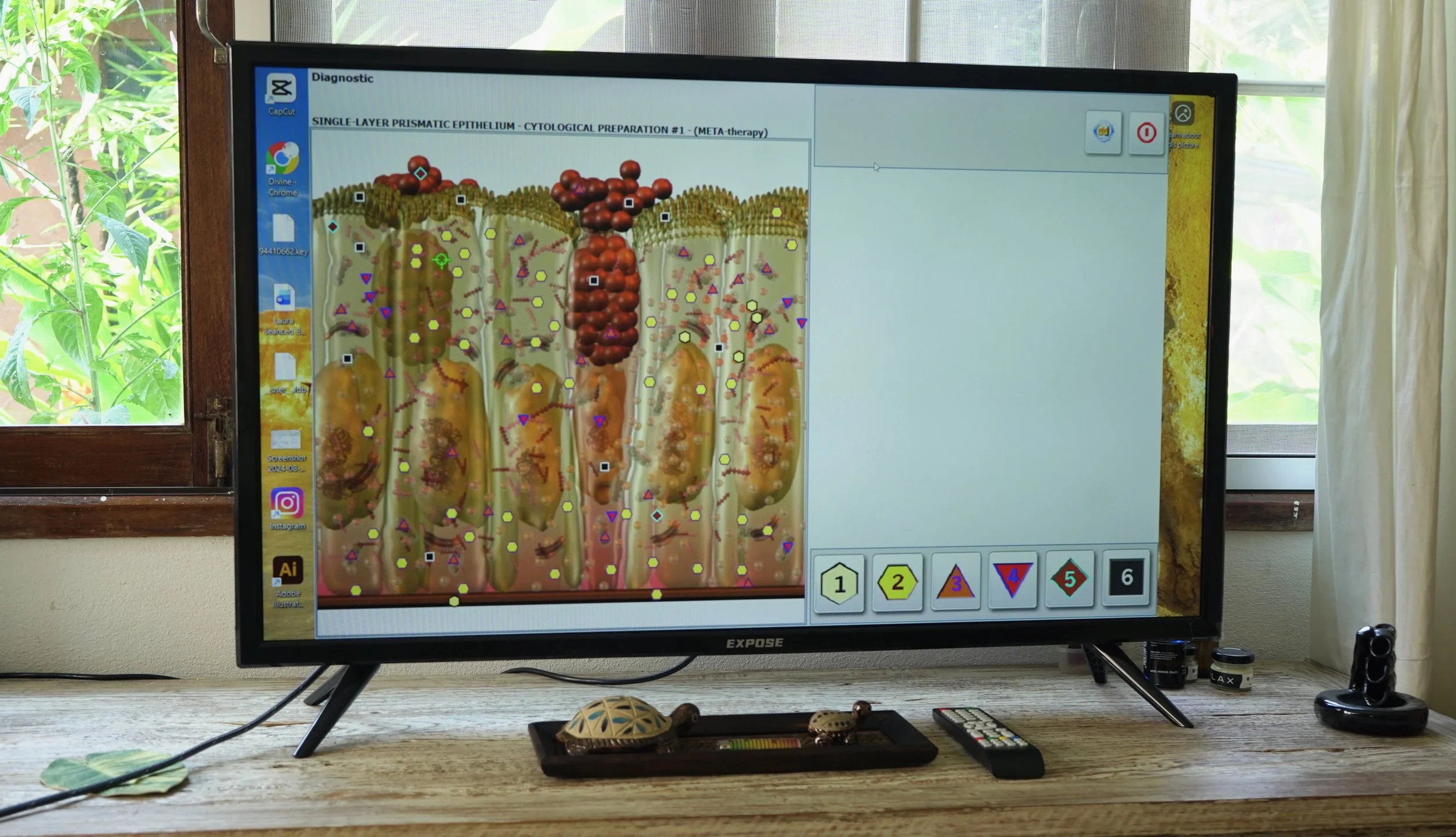 Computer screen displaying a detailed diagram of single-layer prismatic epithelium with color-coded labels and markers, situated on a desk near a window with green foliage outside.