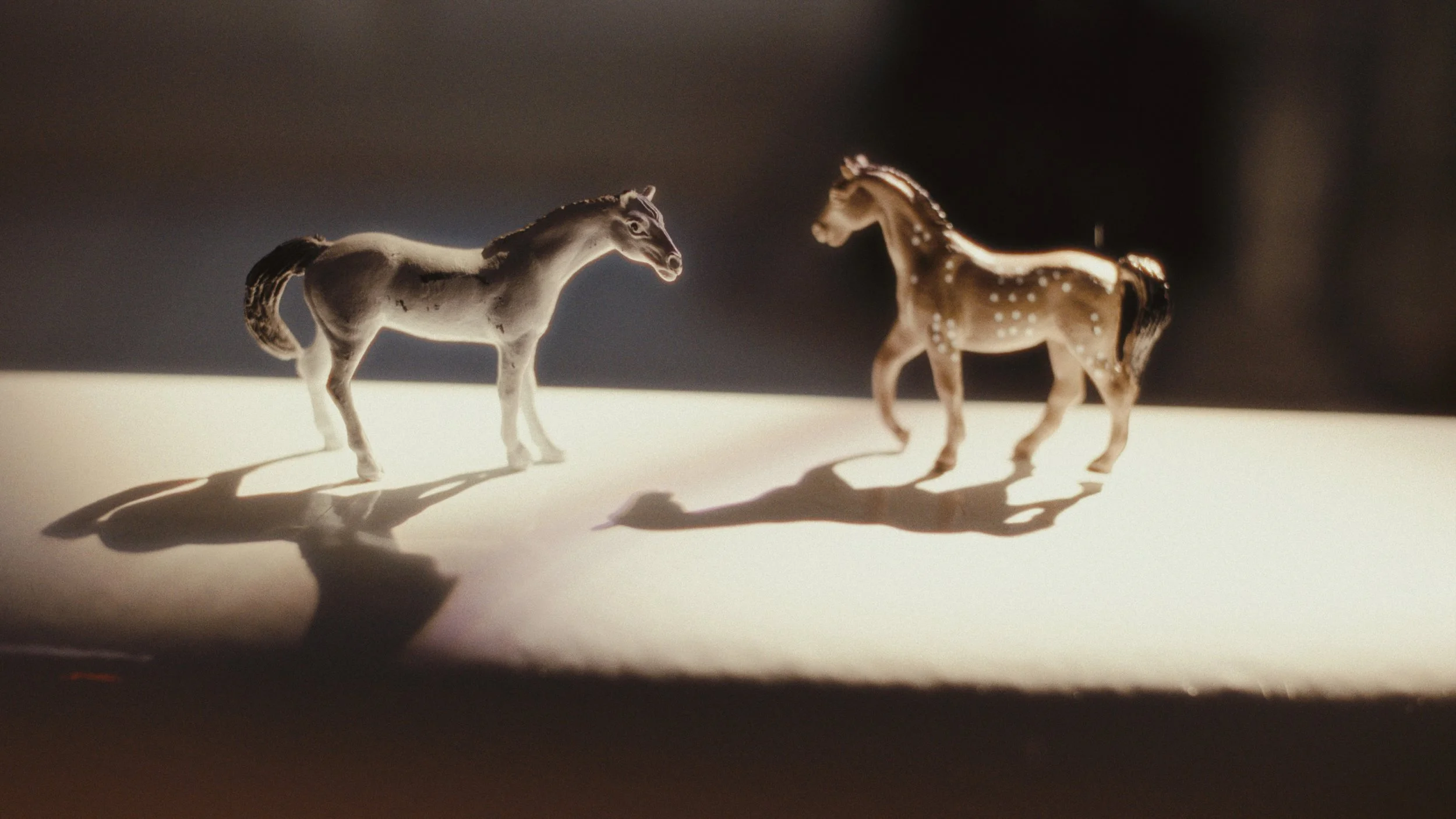 BOOM BALLOON MACHINE (GAFFER)