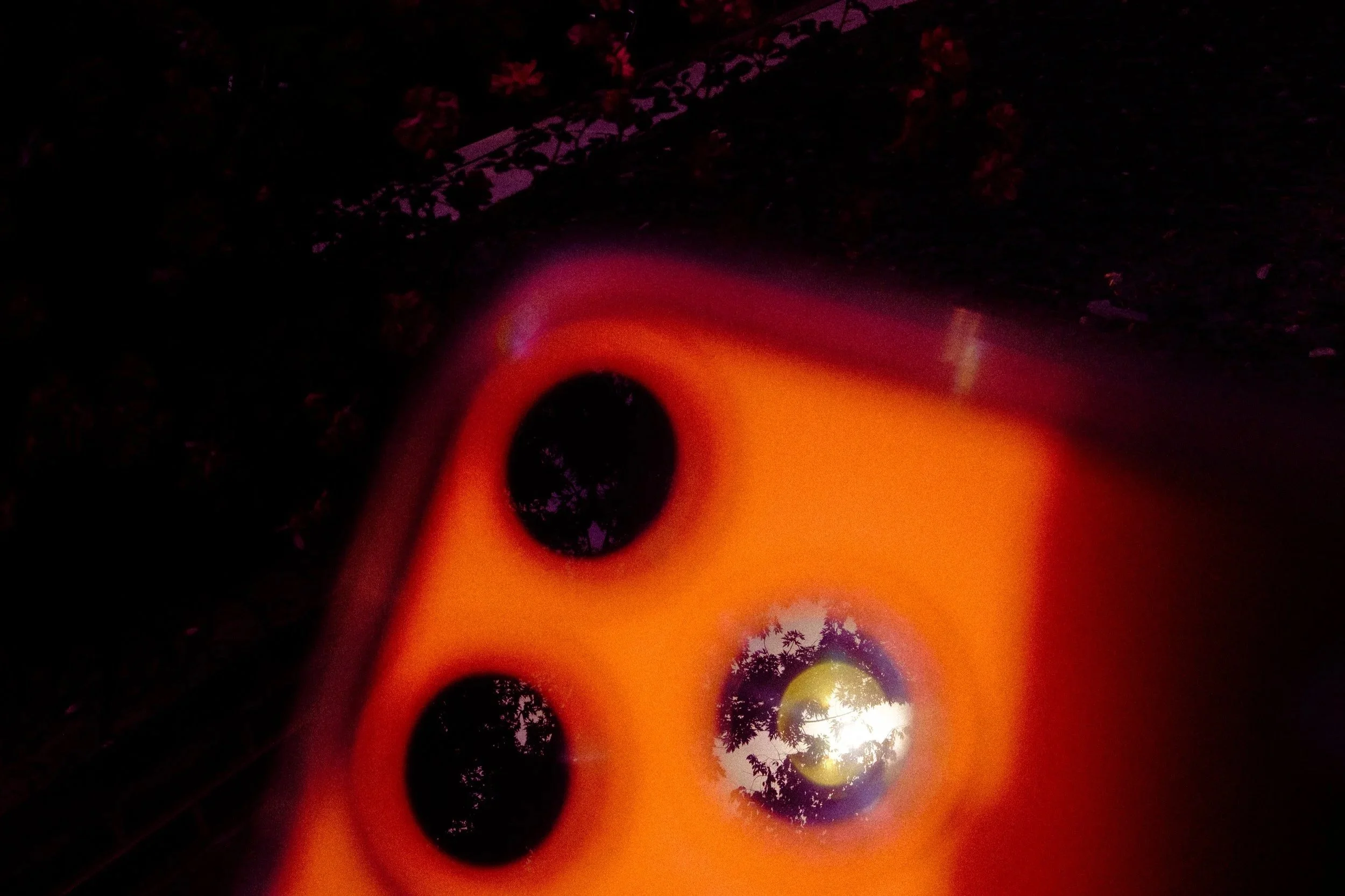 DSCF5543-3.jpg