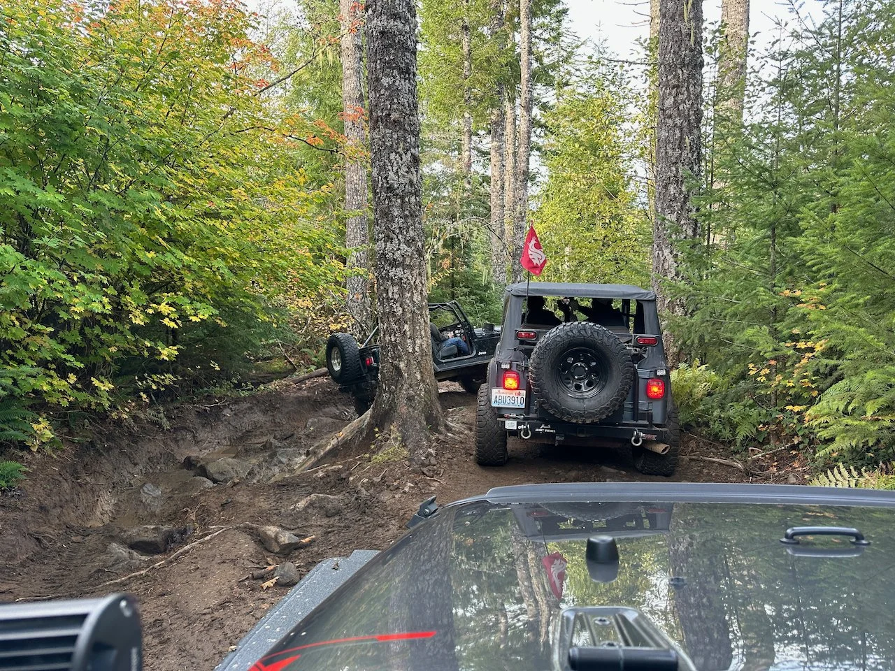 IMG_0767.jpeg (Copy)