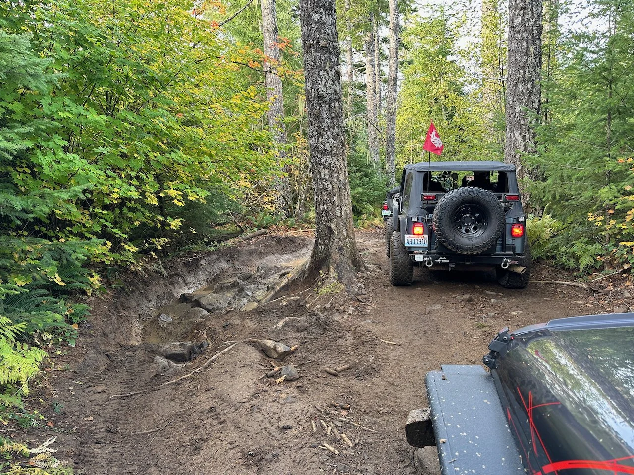 IMG_0768.jpeg (Copy)