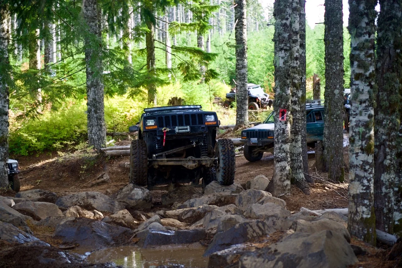 DSC_7880.jpeg (Copy)