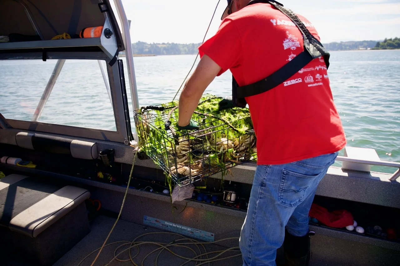 _DSC1634.jpeg (Copy)