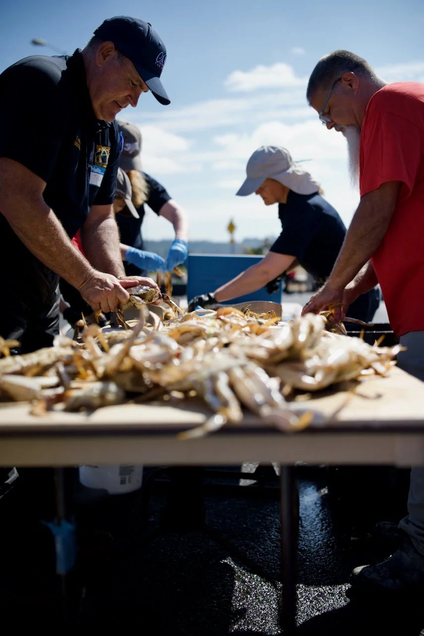 DSC_4482.jpeg (Copy)