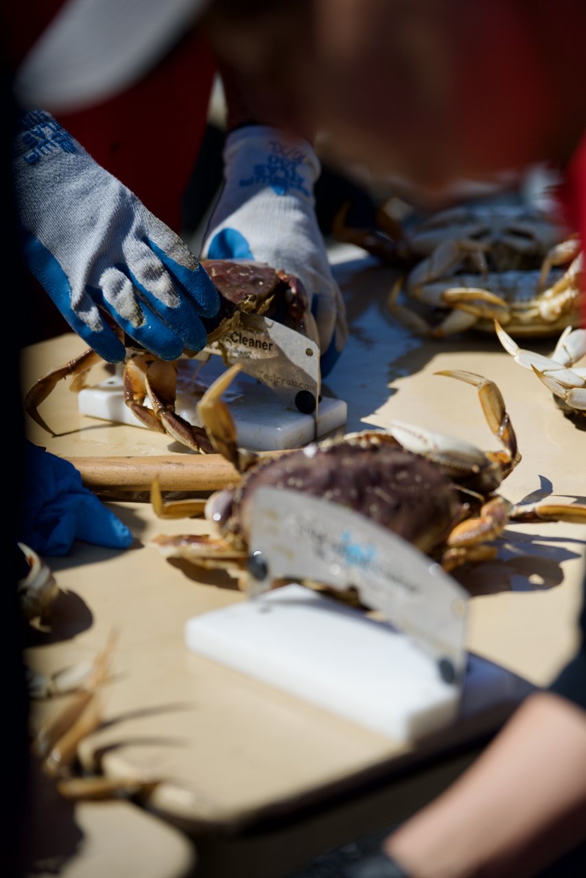 DSC_4477 (1).jpeg (Copy)