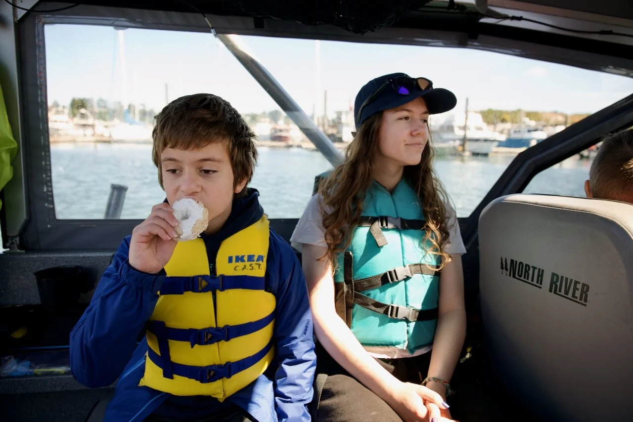 _DSC1618.jpeg (Copy)