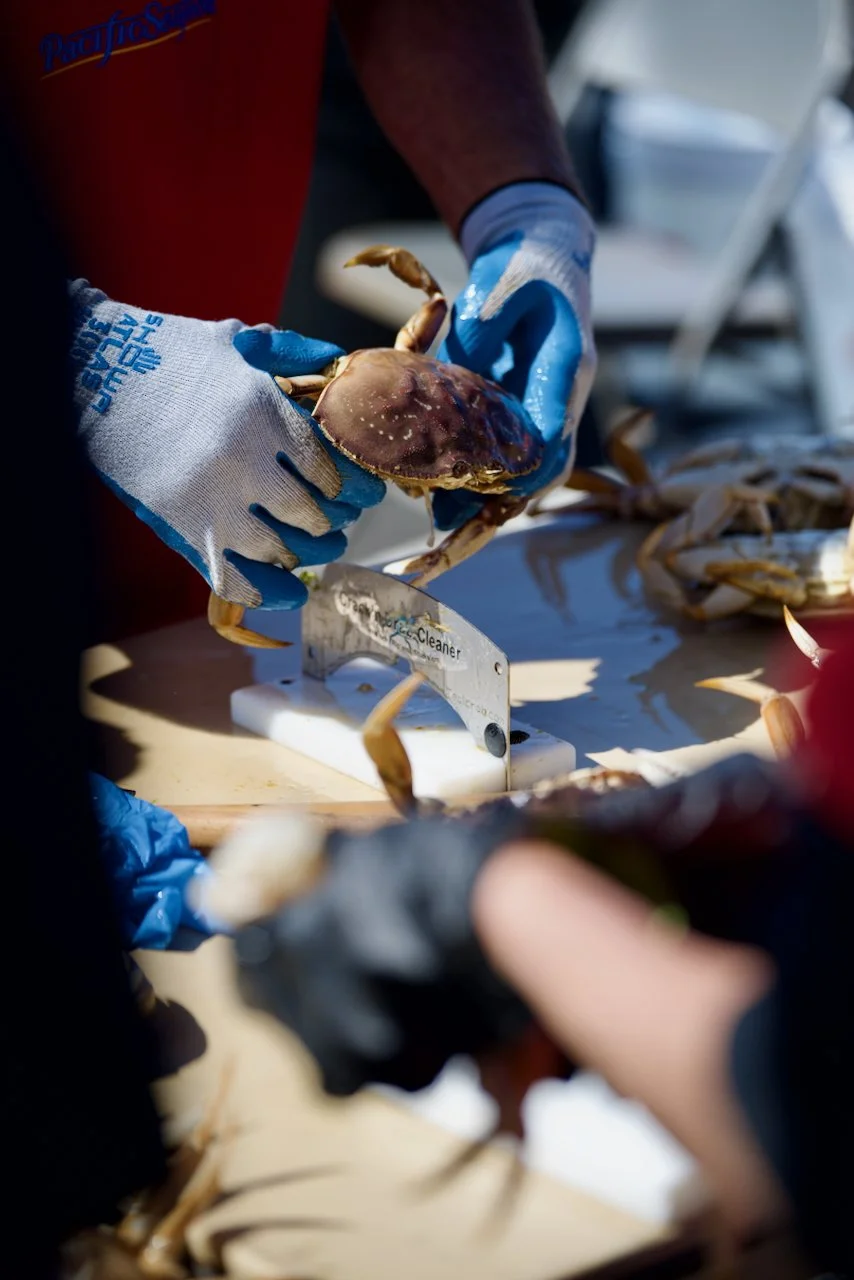 DSC_4479.jpeg (Copy)