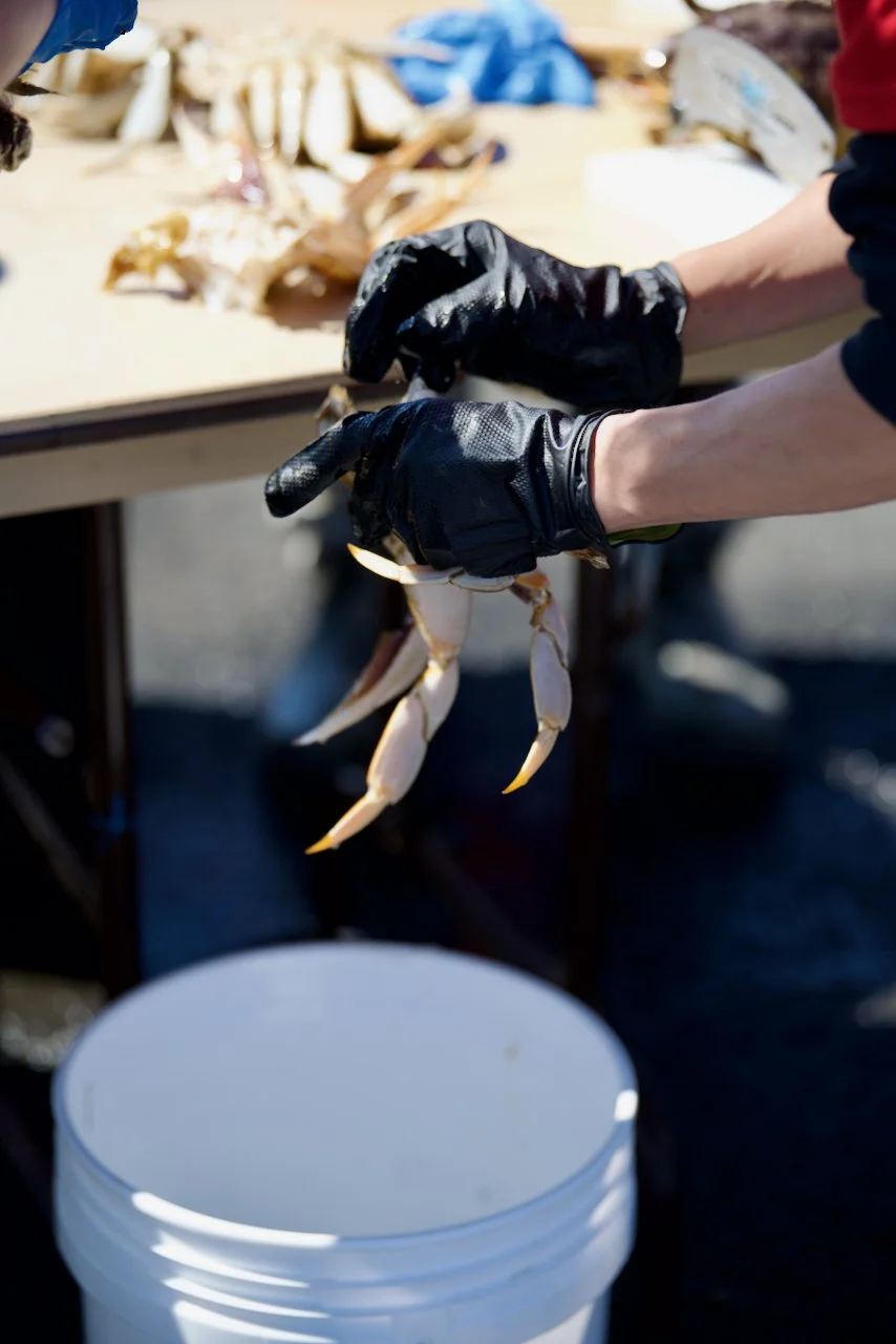 DSC_4476.jpeg (Copy)